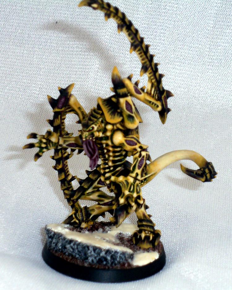 Lictor, Tyranids, Lictor Front