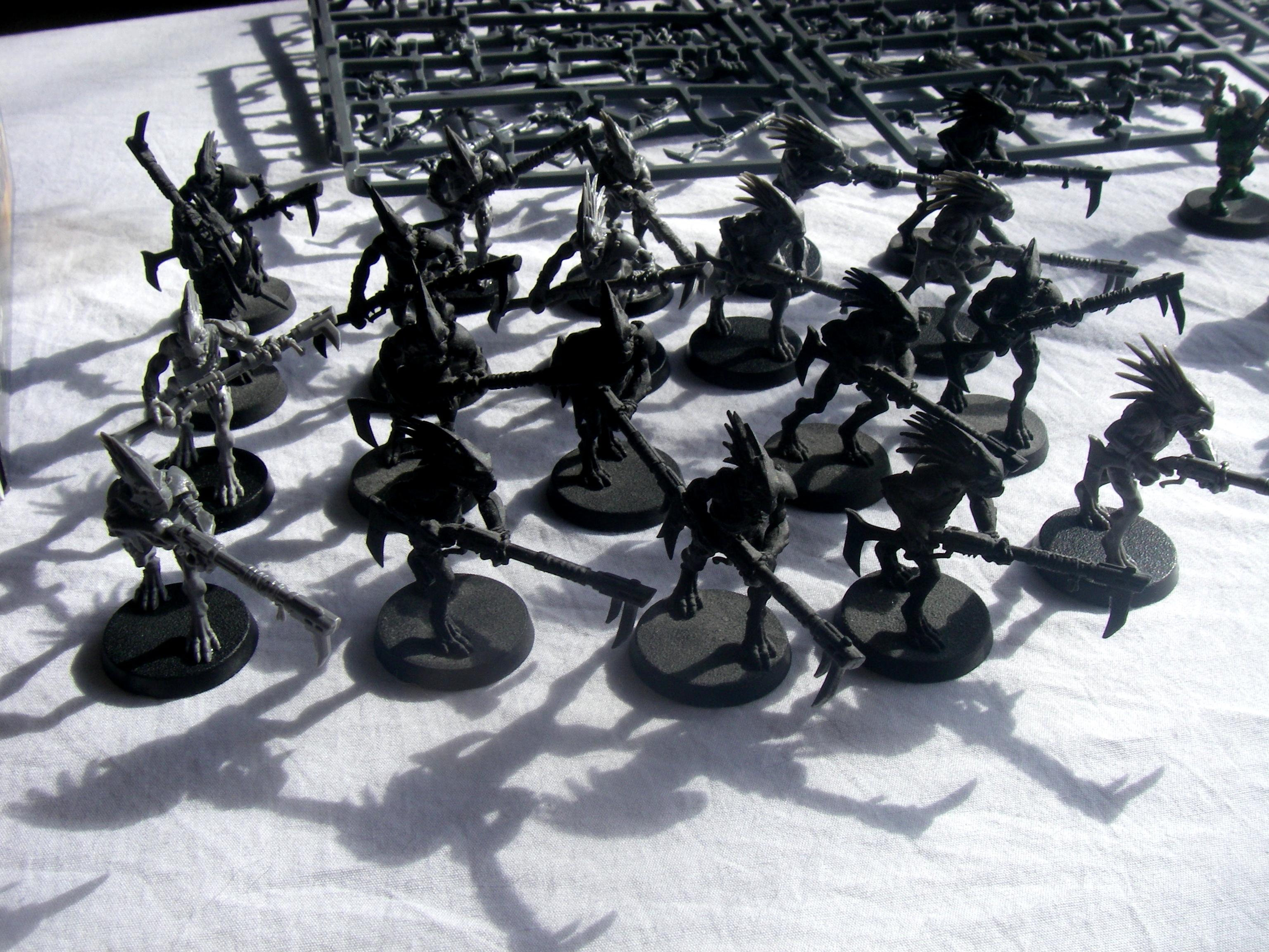 20 Kroot