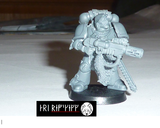 Conversion, Grey Hunter, Space Wolves