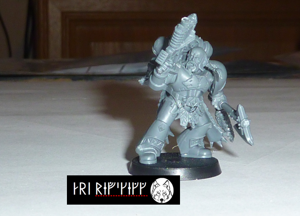 Conversion, Grey Hunter, Space Wolves