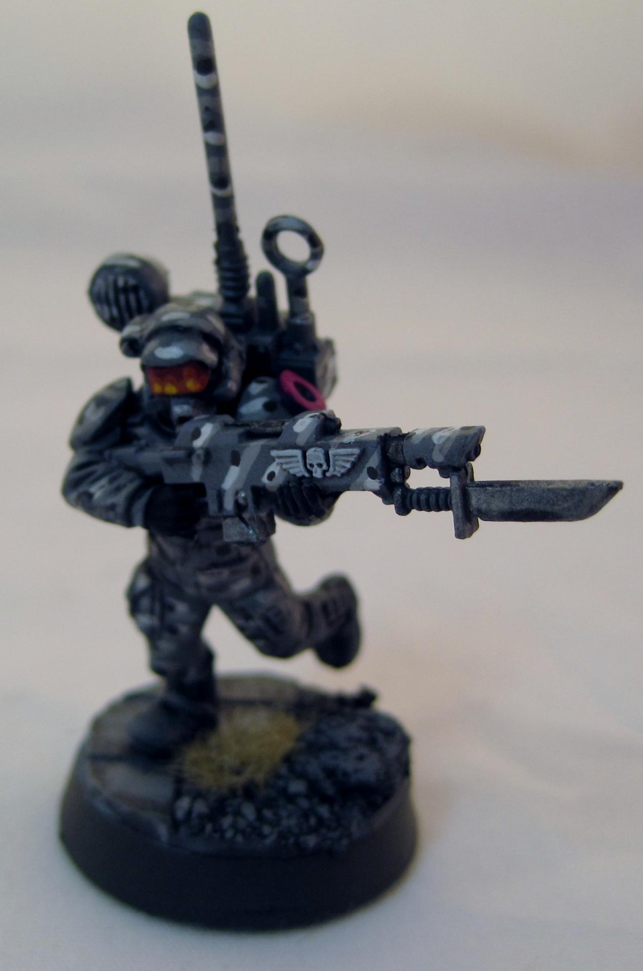 Urban Vet Vox