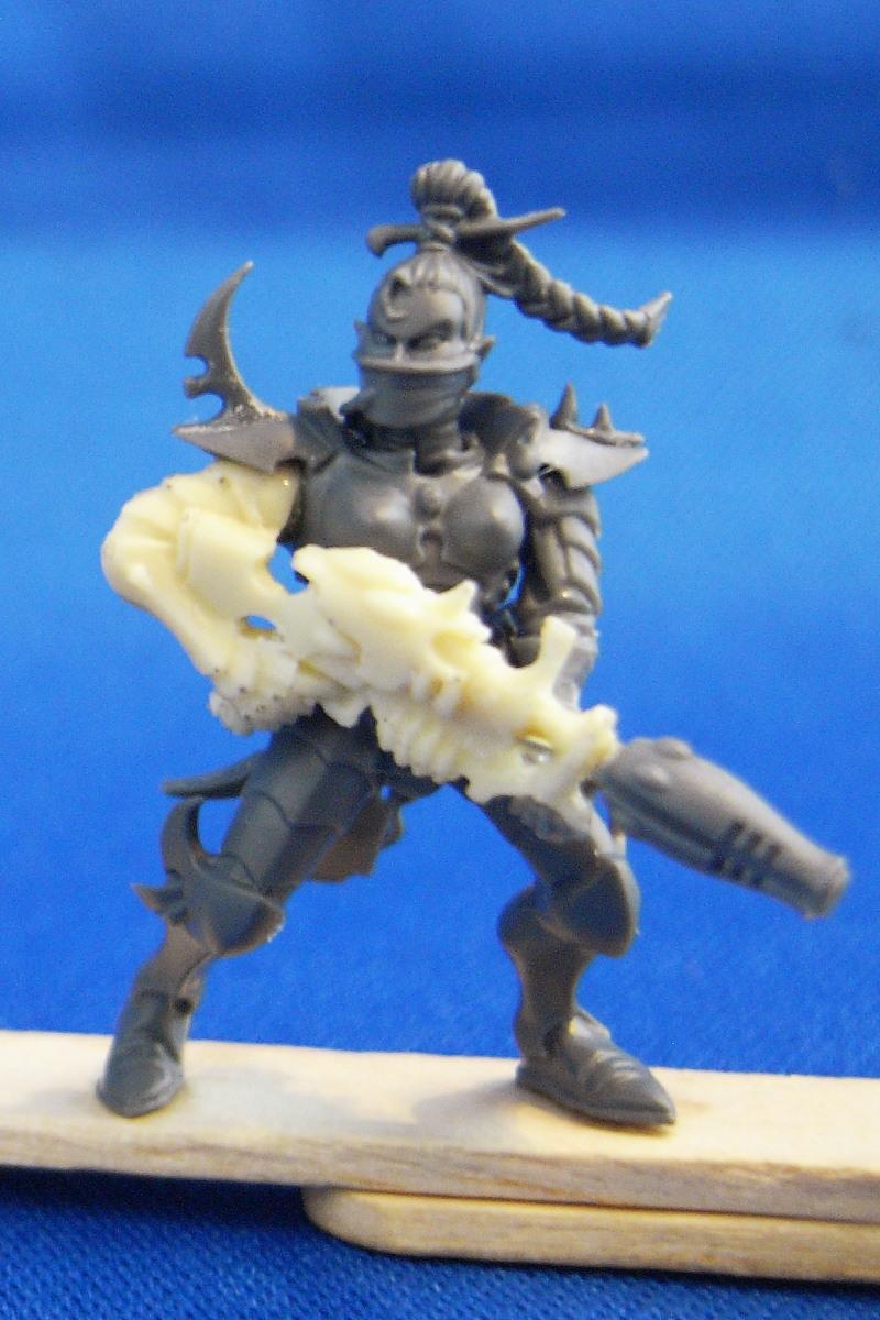 Blog, Dark Eldar, Hellions, True Born, Work In Progress