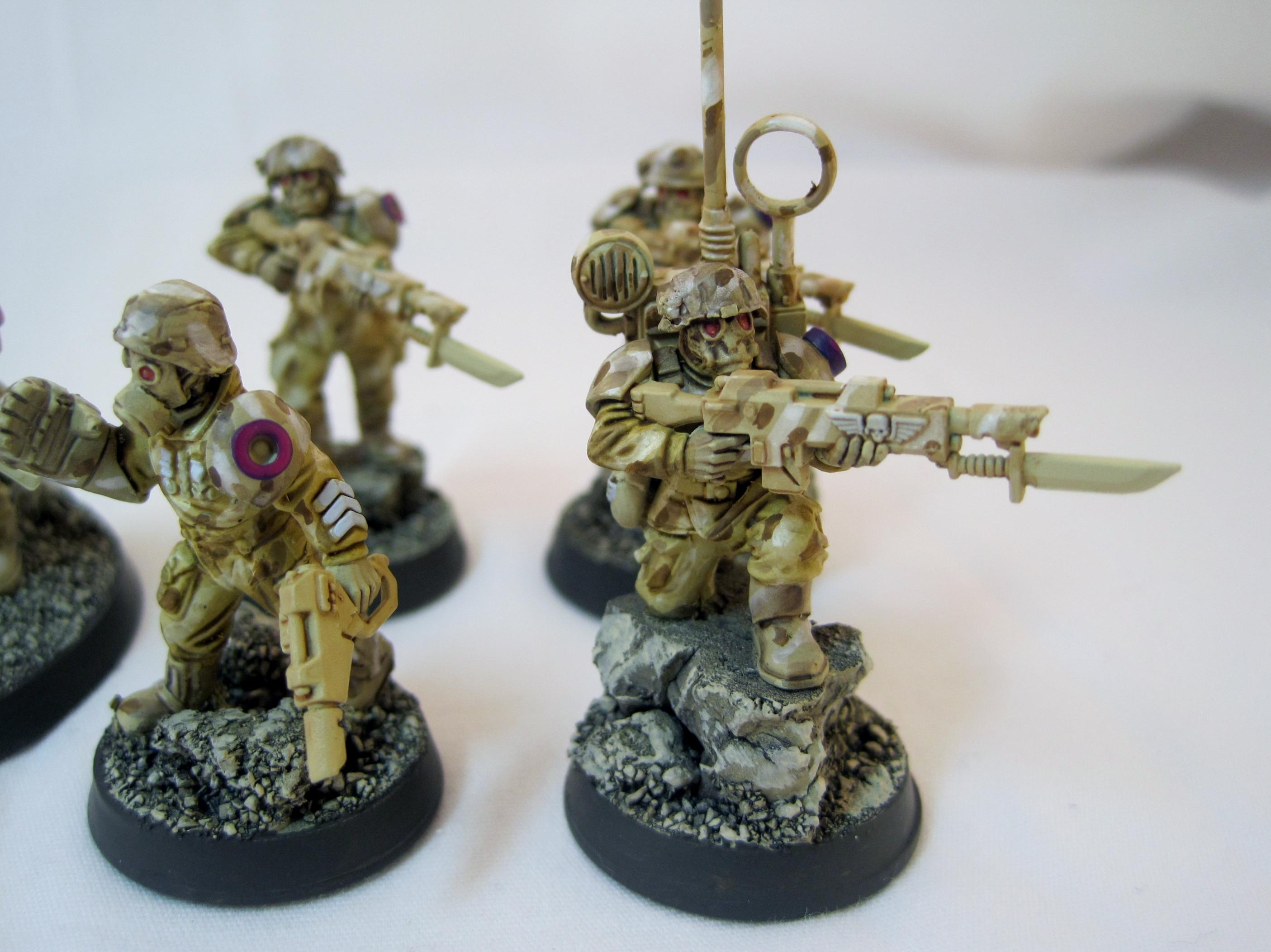 Desert Vet Vox - WIP
