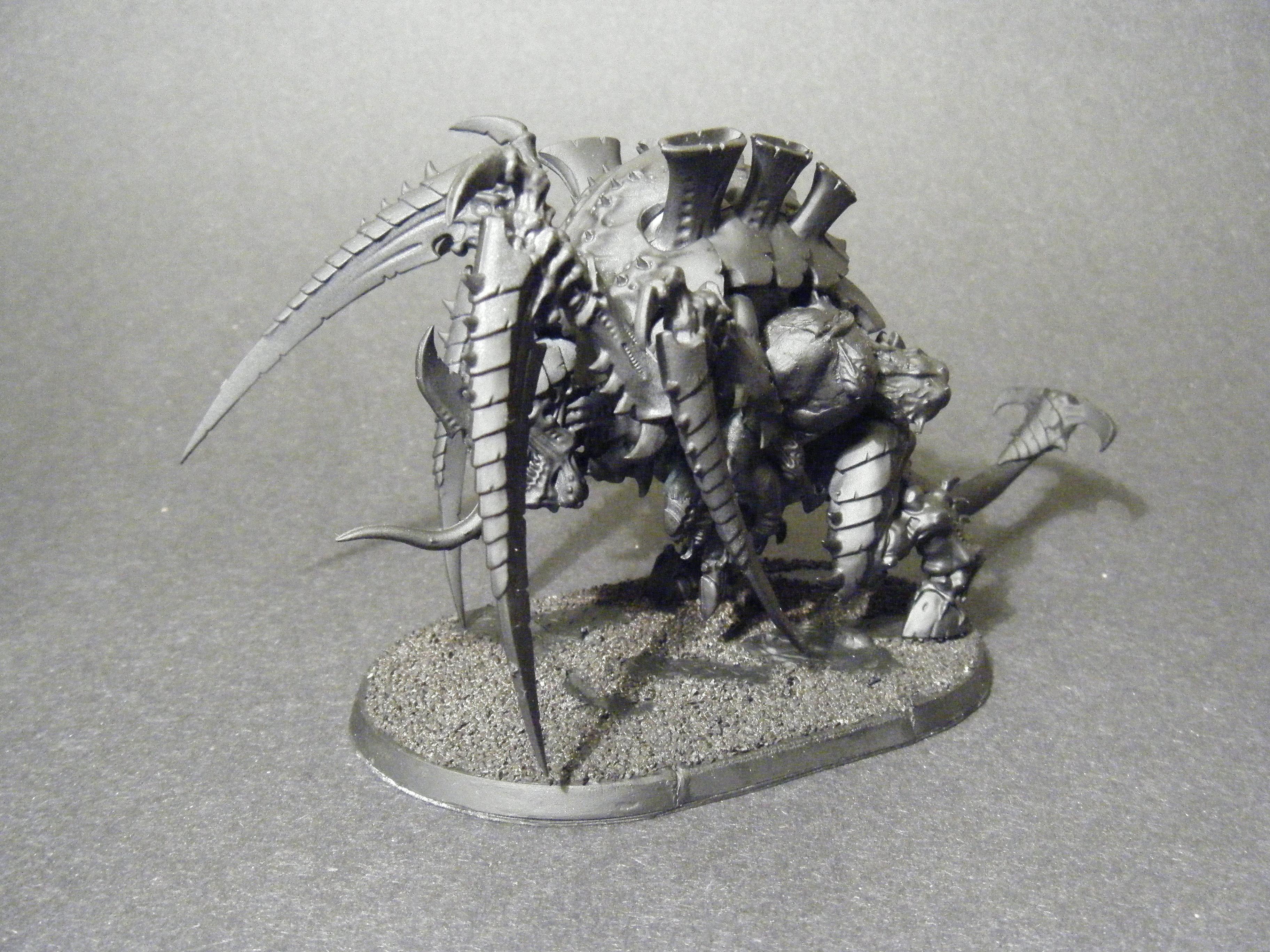 4th Tervigon (1)