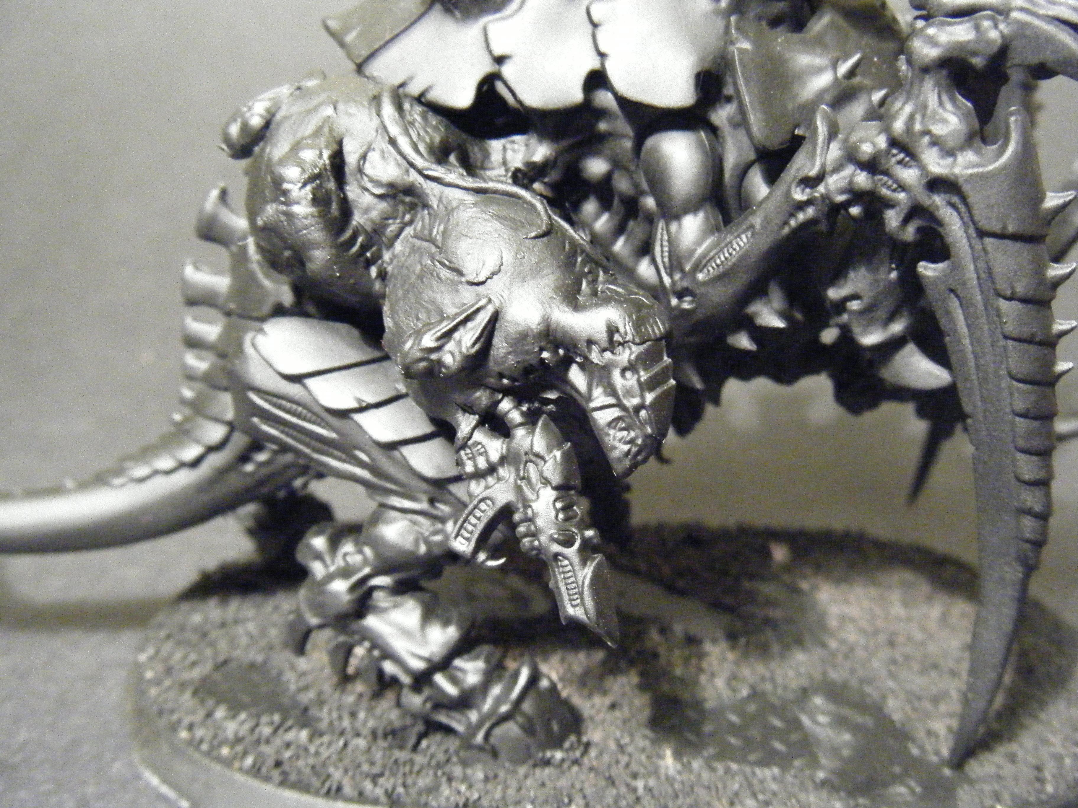 4th Tervigon (2)