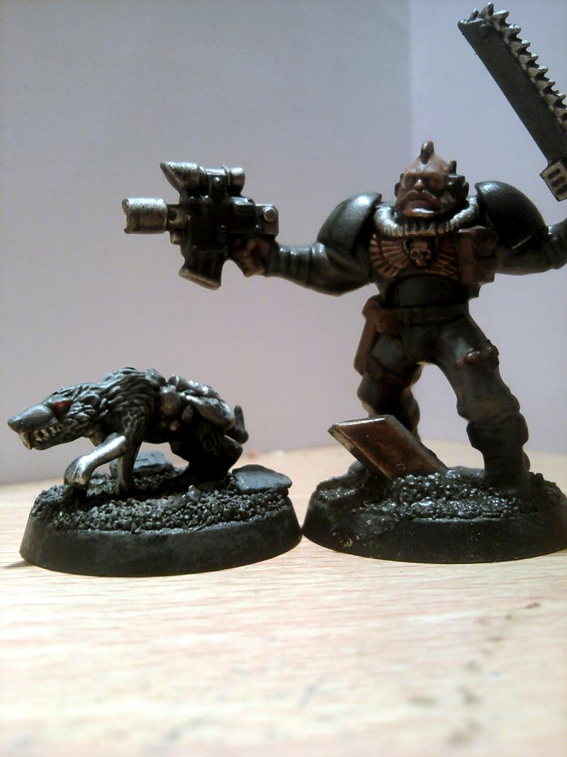 Space Wolves, Scout &amp; Chooser