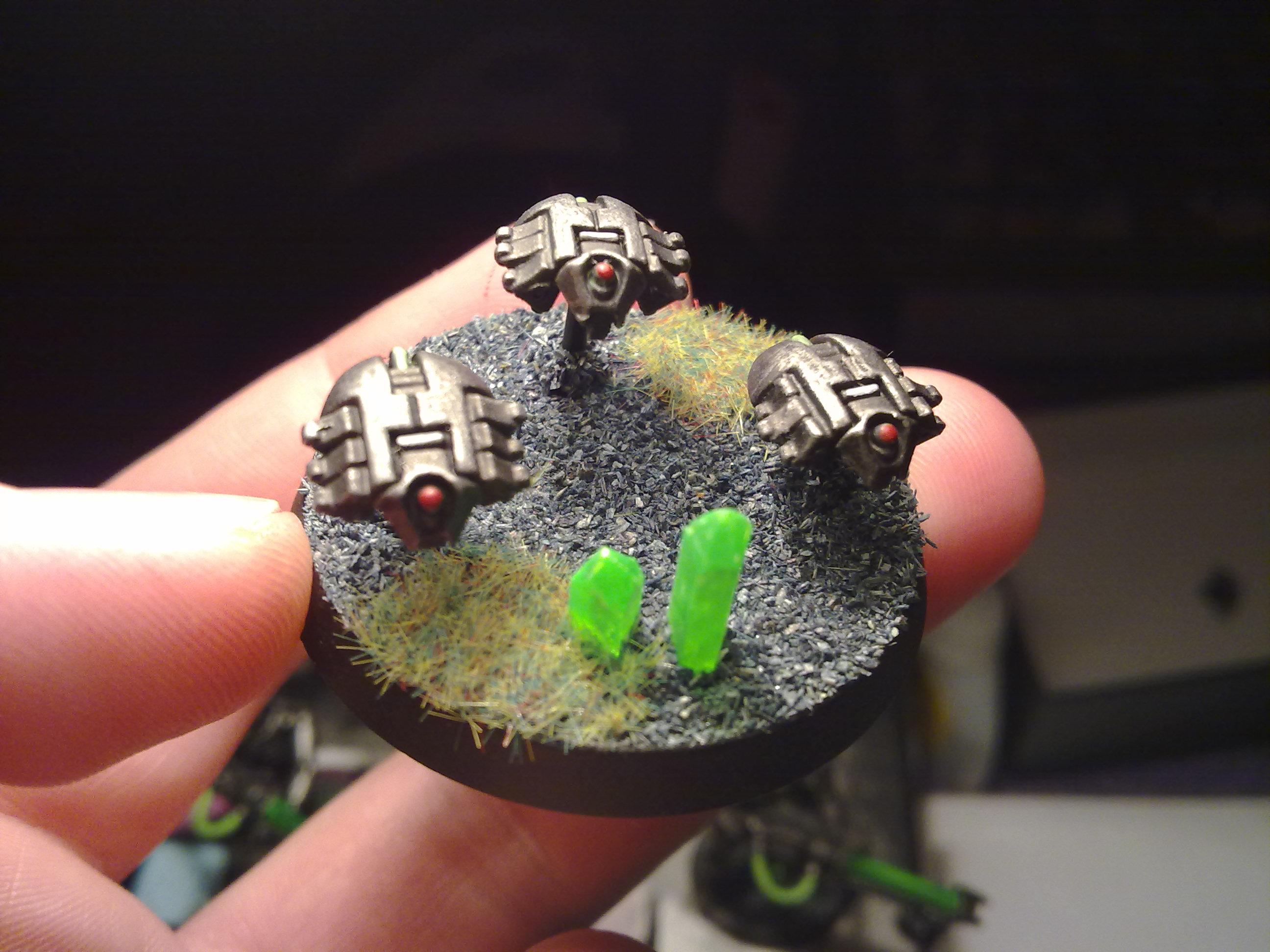 scarab