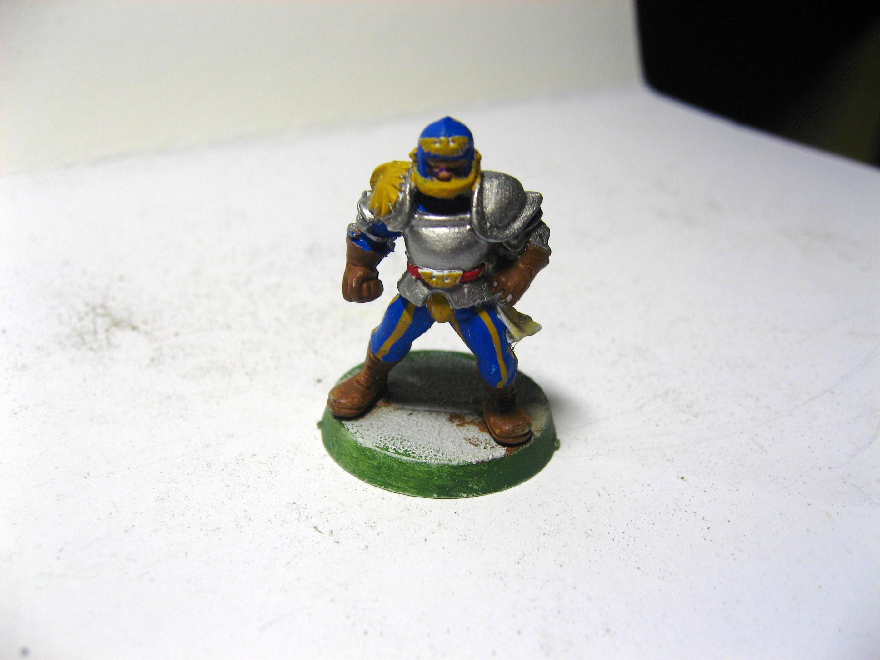 Bloodbowl. Finally painted after 13yrs...bought in a carboot sale for a fiver. Complete box