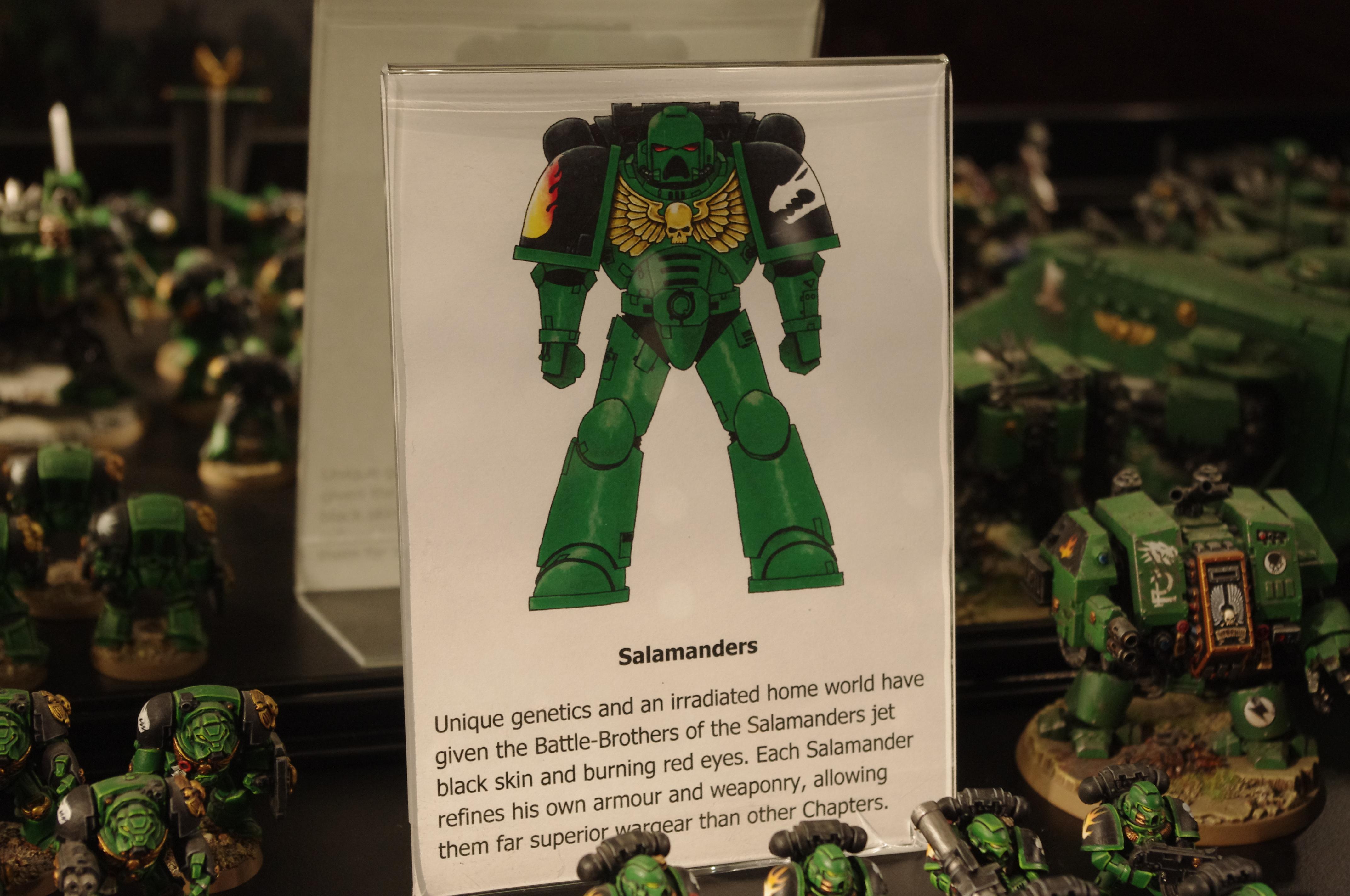 All Credit To Eavy Metal Crews, Warhammer World, Warhammer World   ---   Posted For Those To Far Away To Travel  ---  Not My Minis