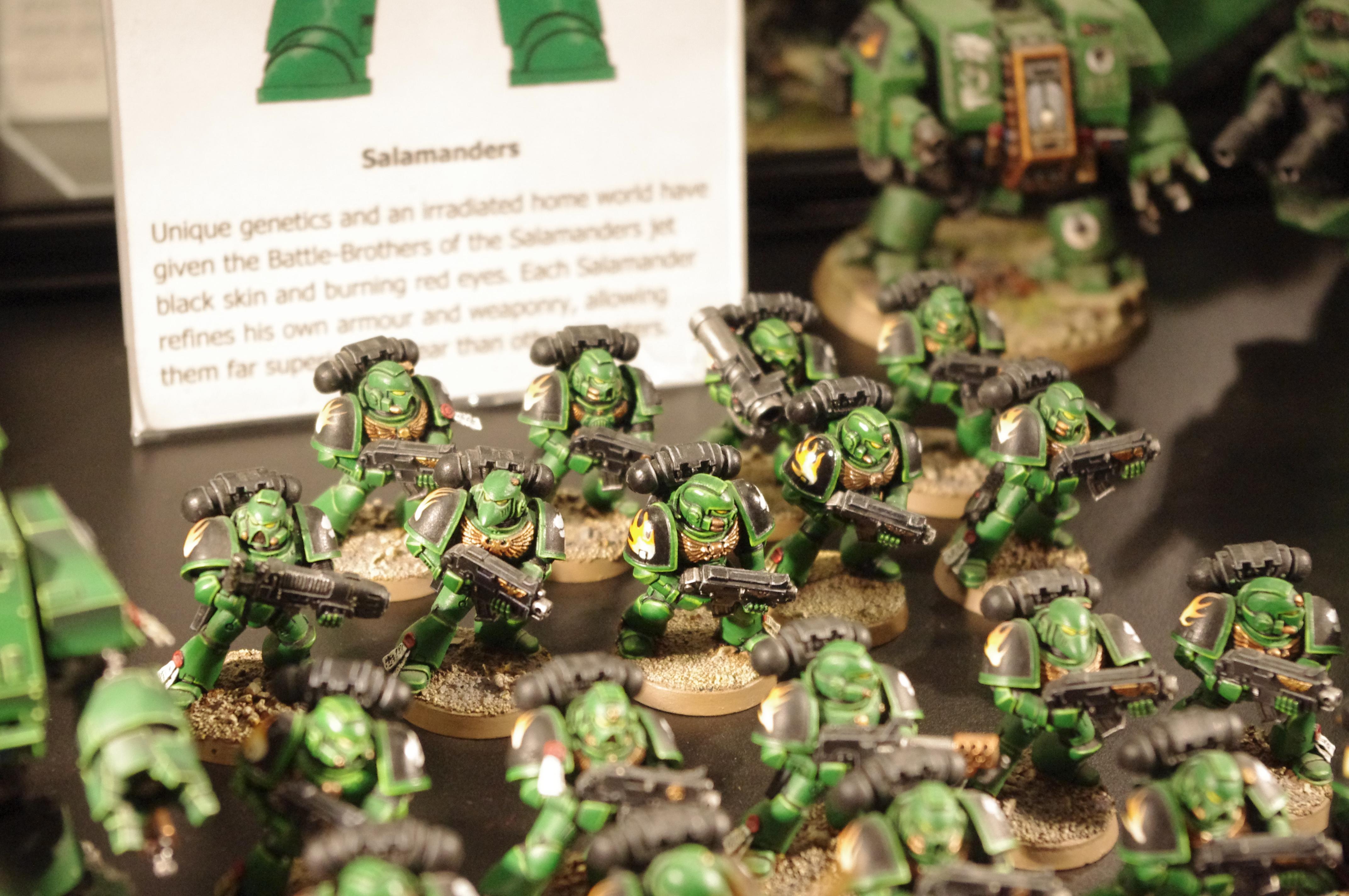 All Credit To Eavy Metal Crews, Warhammer World, Warhammer World   ---   Posted For Those To Far Away To Travel  ---  Not My Minis