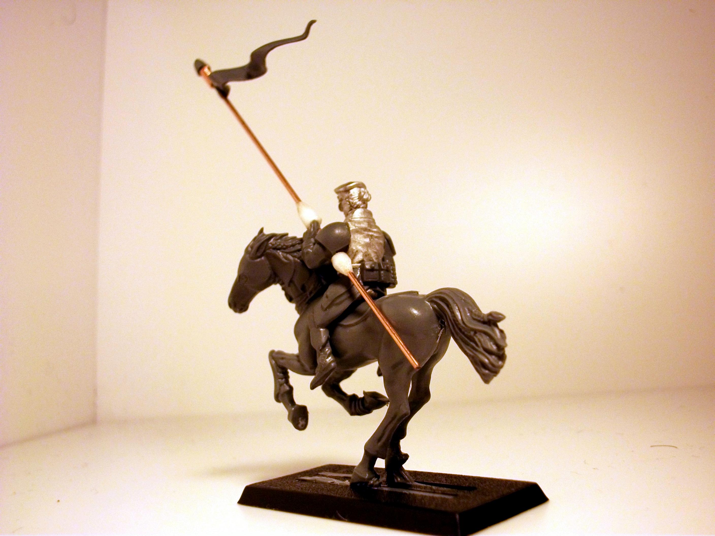 Horse. Horses, Imperial Guard, Rough Riders