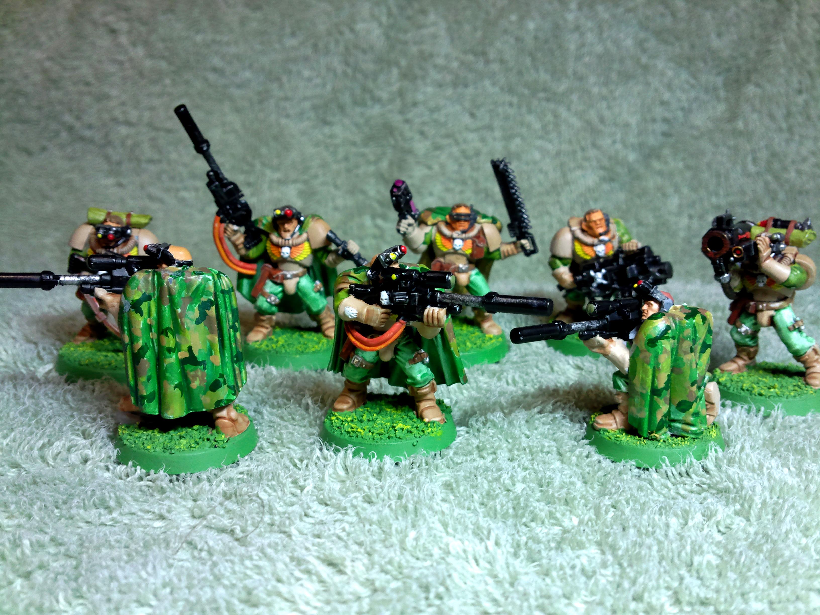 Scouts 1