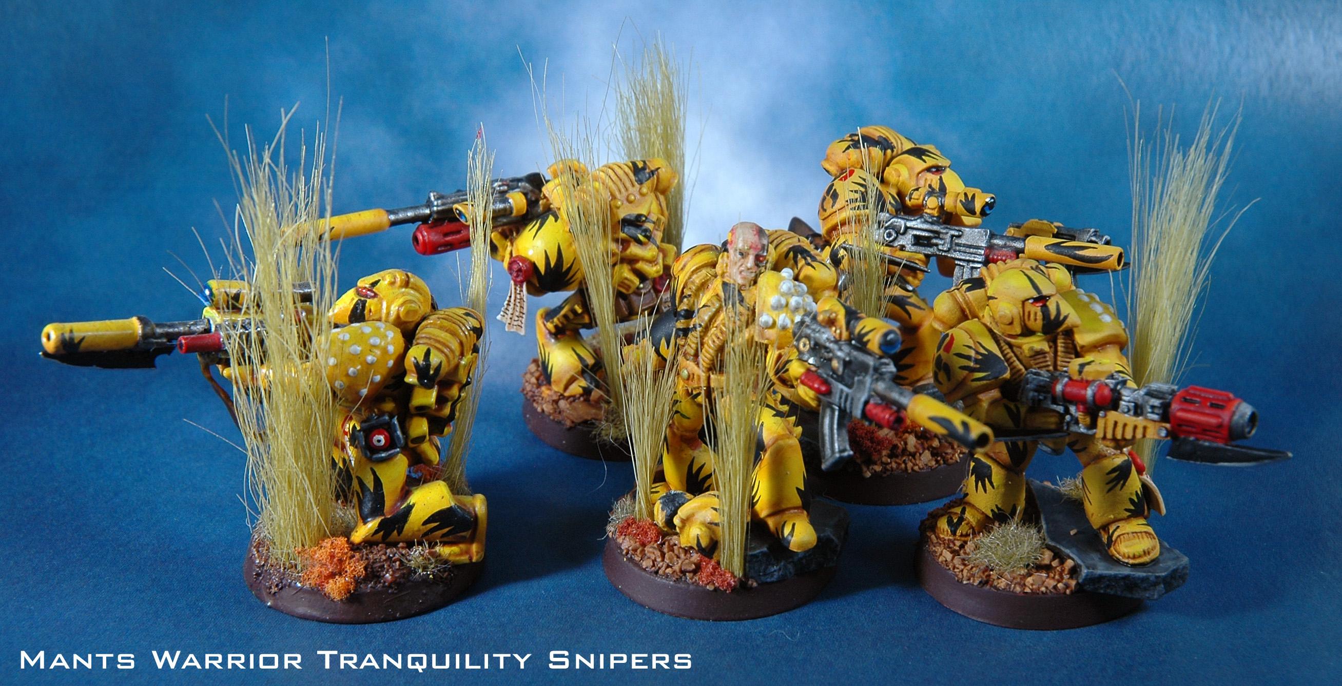 Mantis Warrior, Space Marines, Sternguard, Tranquility Snipers, Warhammer 40,000