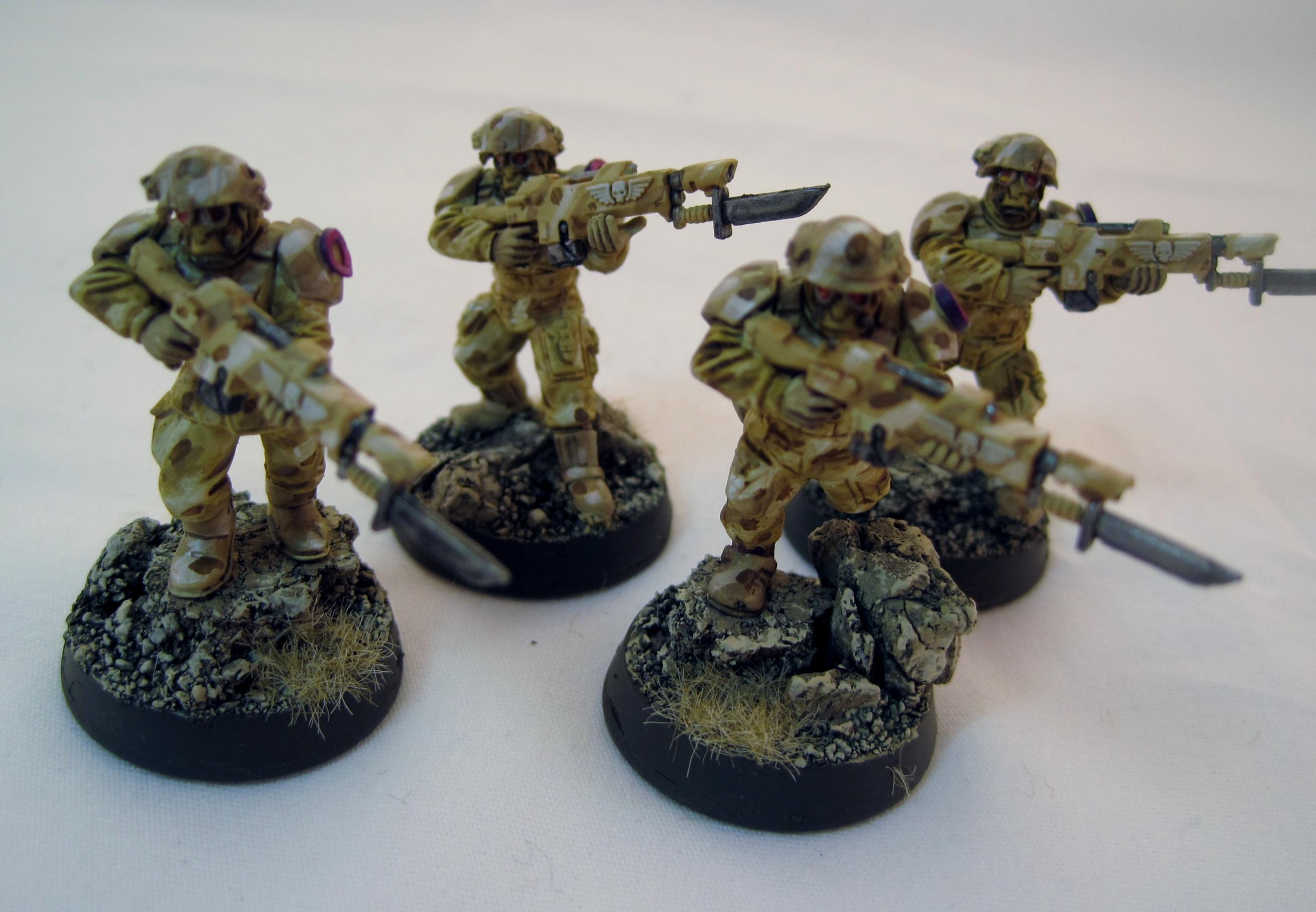 Desert Vets