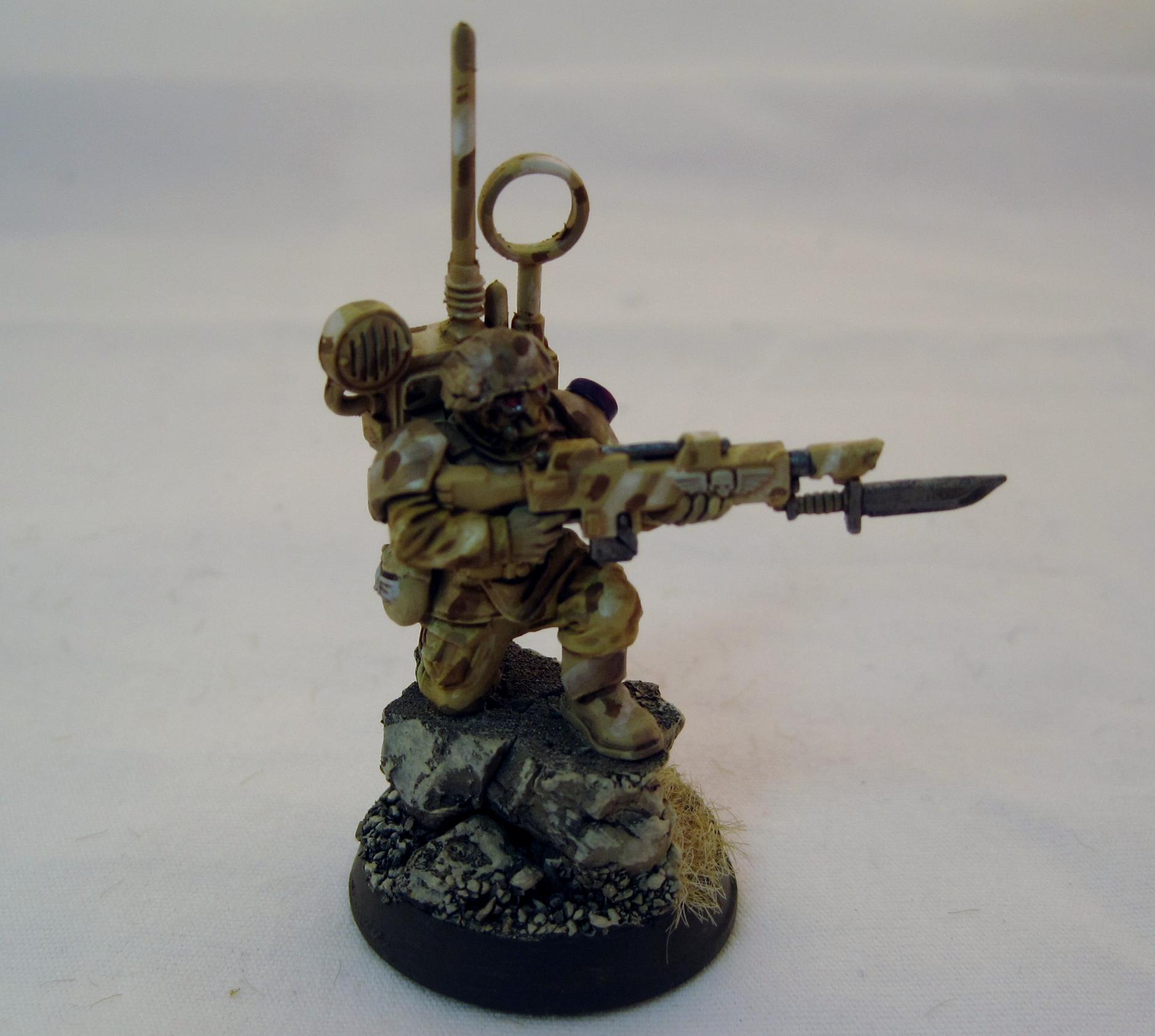 Desert Vet Vox