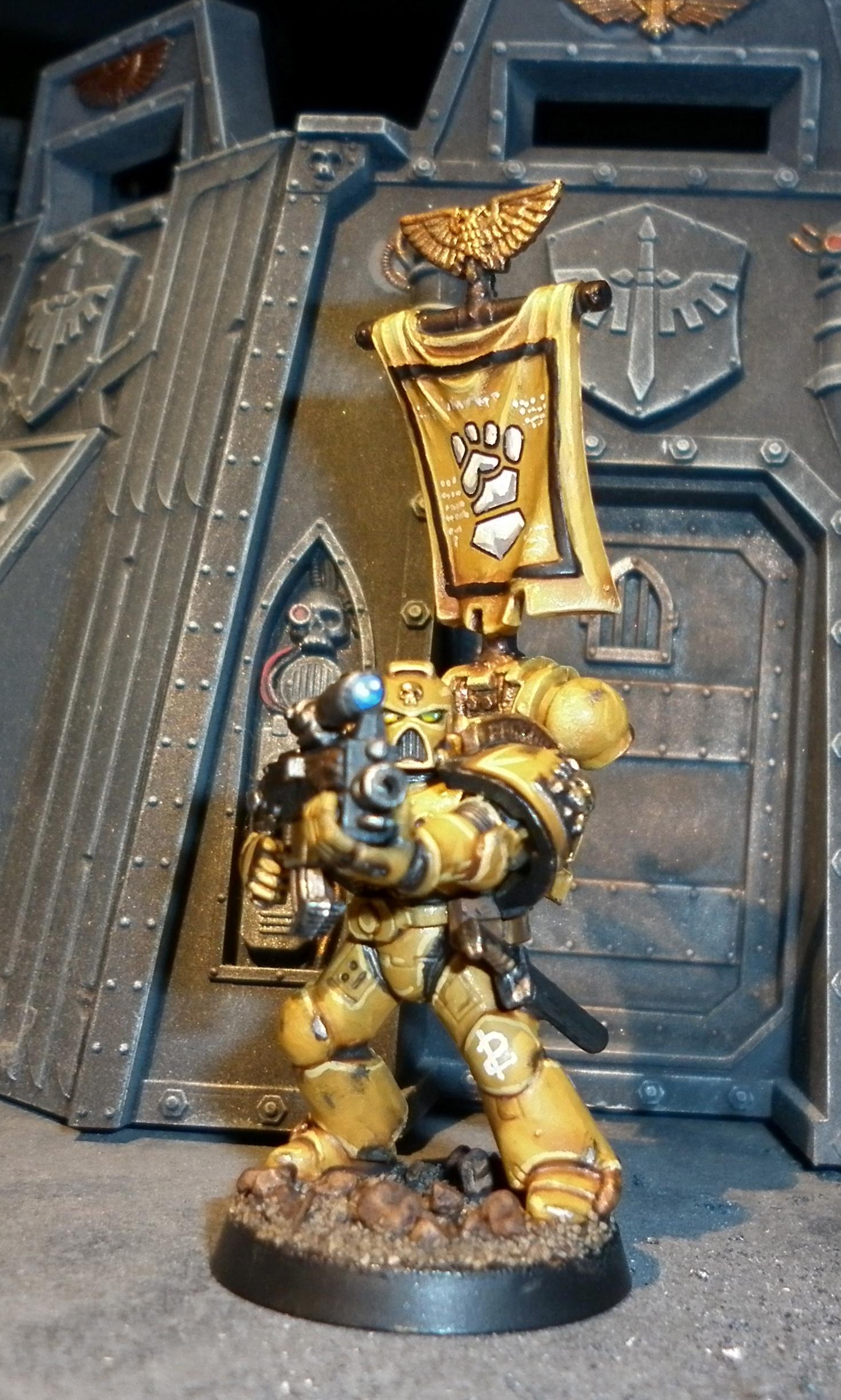 Imperial Fists, Space Marines, Terrain, Veteran