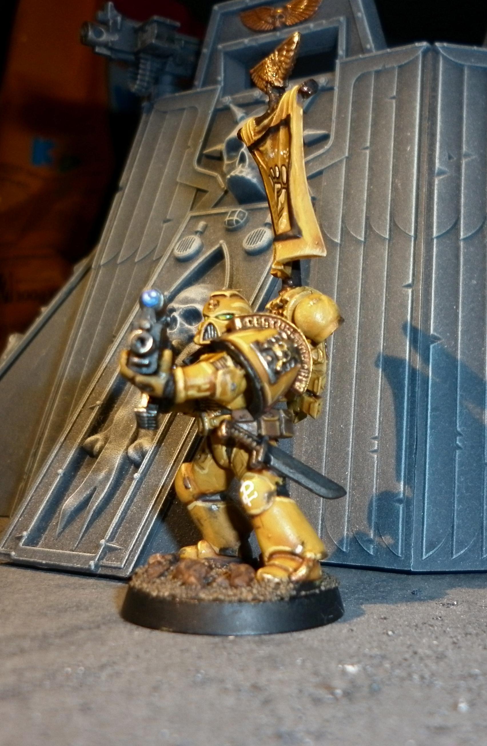 Imperial Fists, Space Marines, Terrain, Veteran