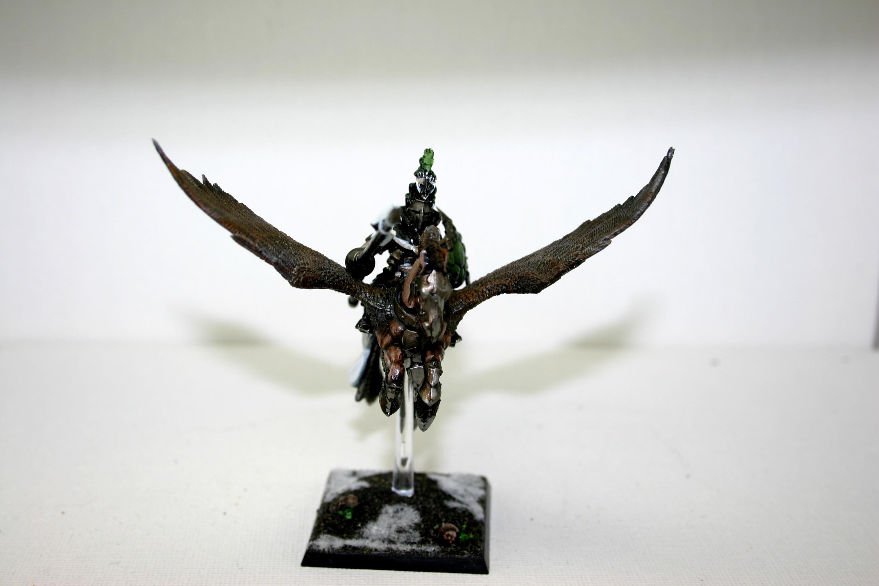 Bretonian Paladin