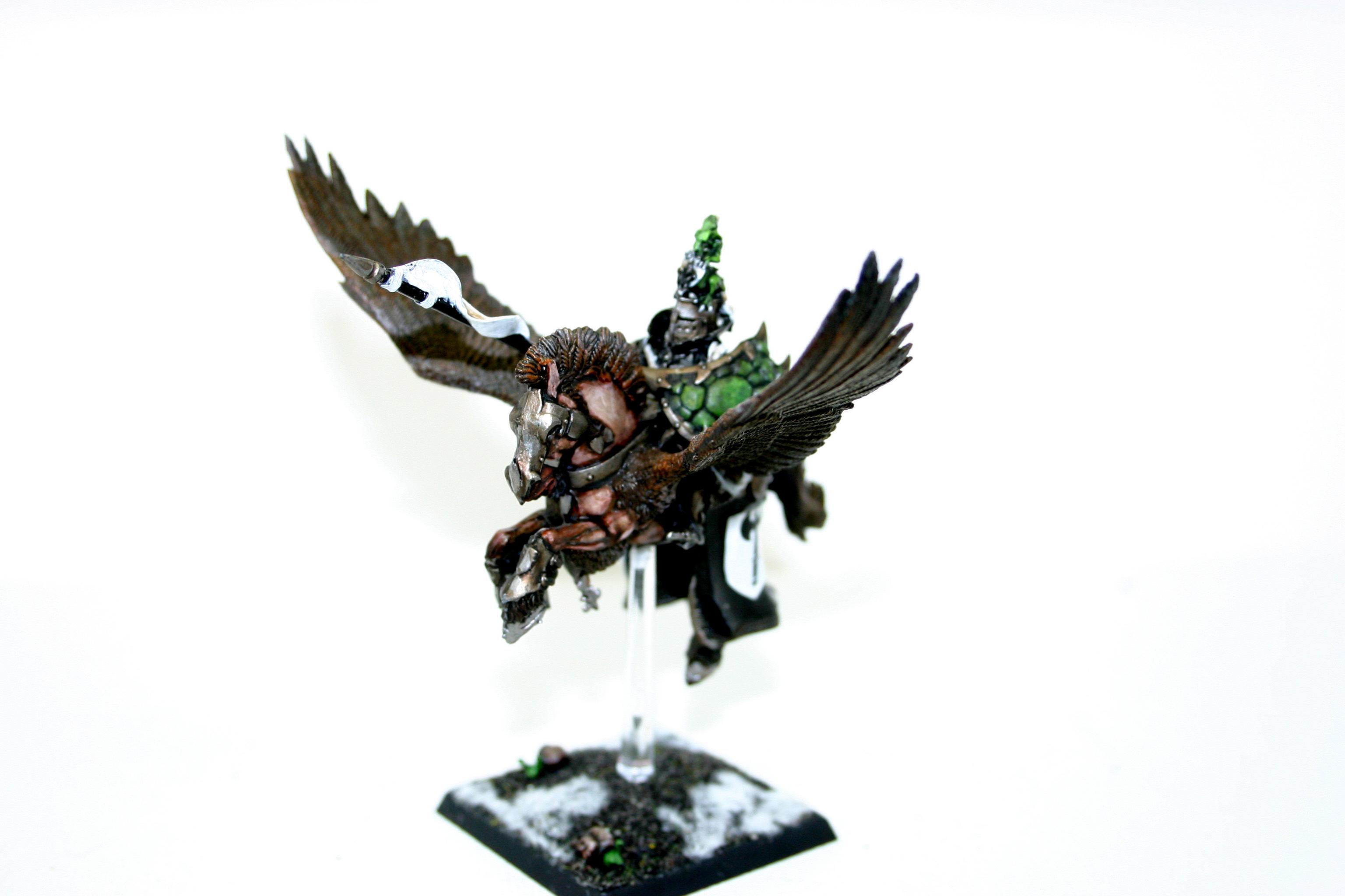 Bretonian Paladin