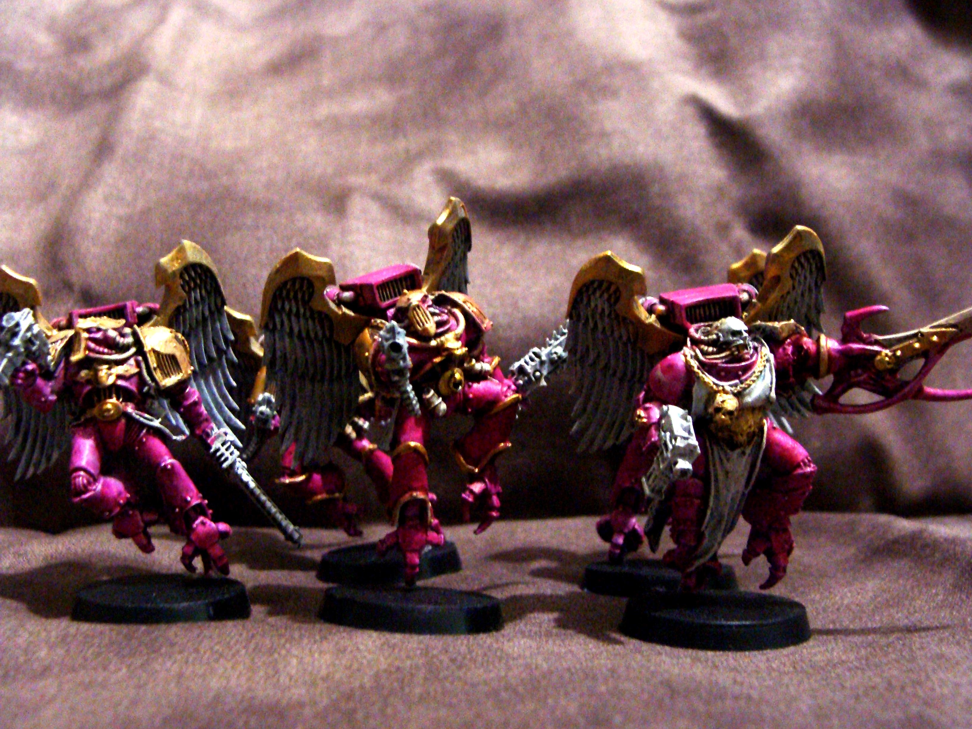 Raptors, EC Raptors 01
