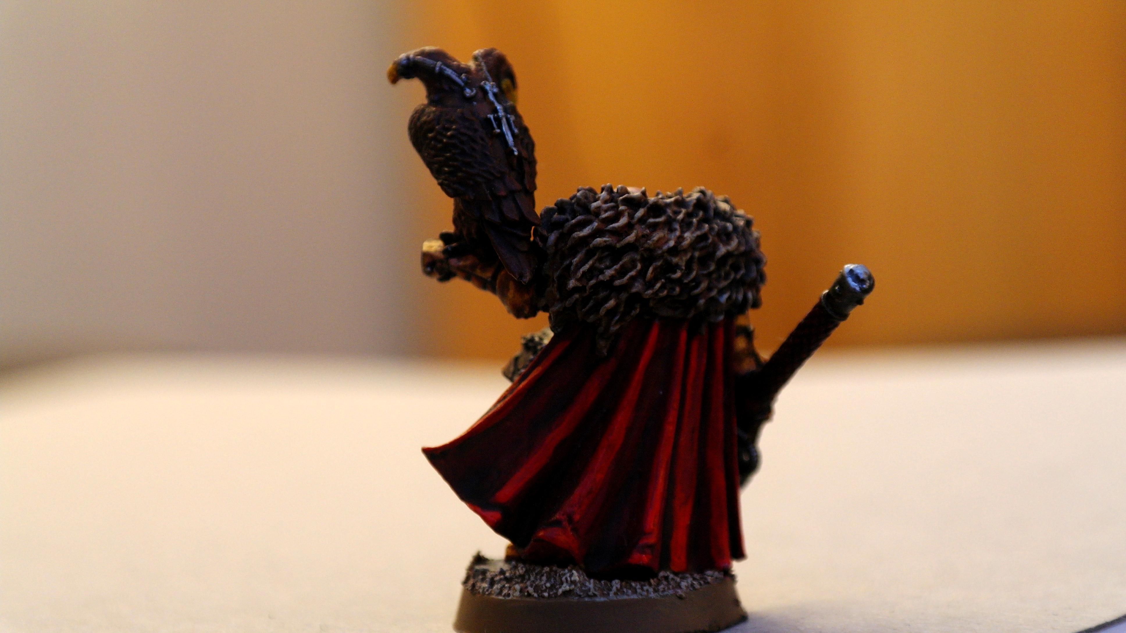 Daemonhunters, Inquisitor, Warhammer 40,000