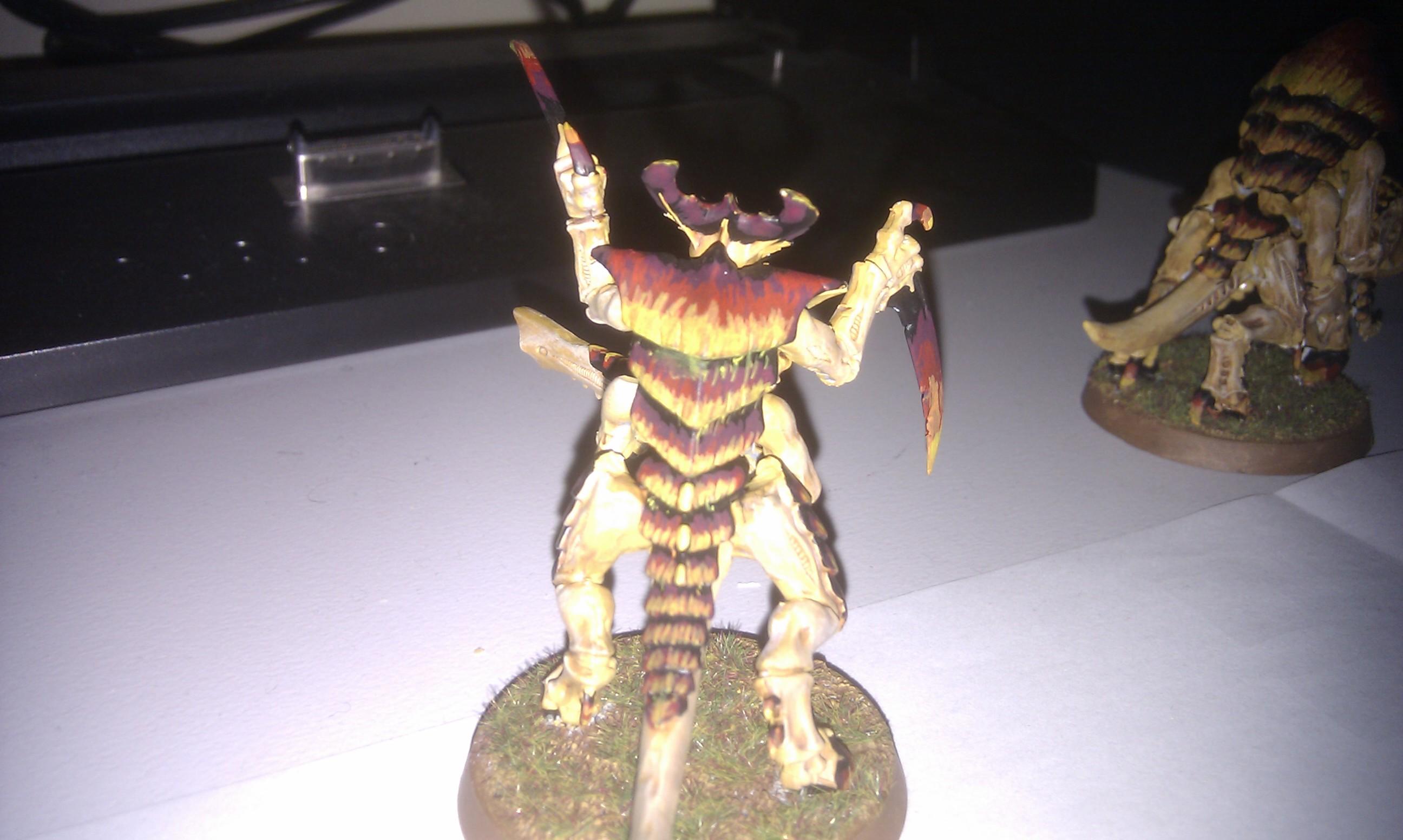 nid warrior back