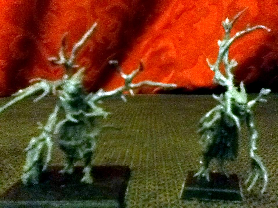 Treekin v Dryad
