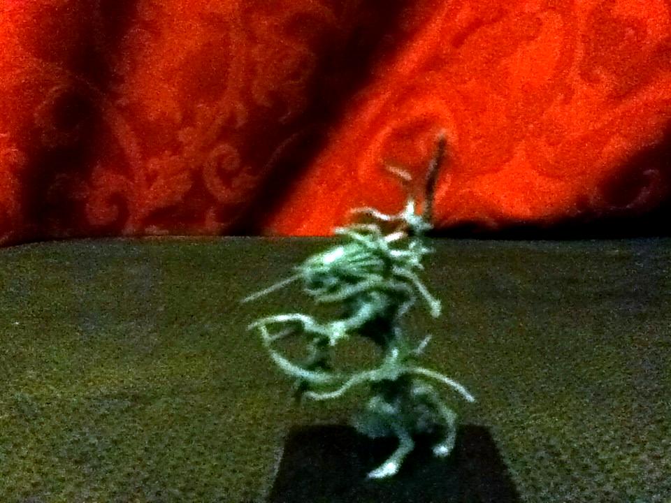 Treekin side