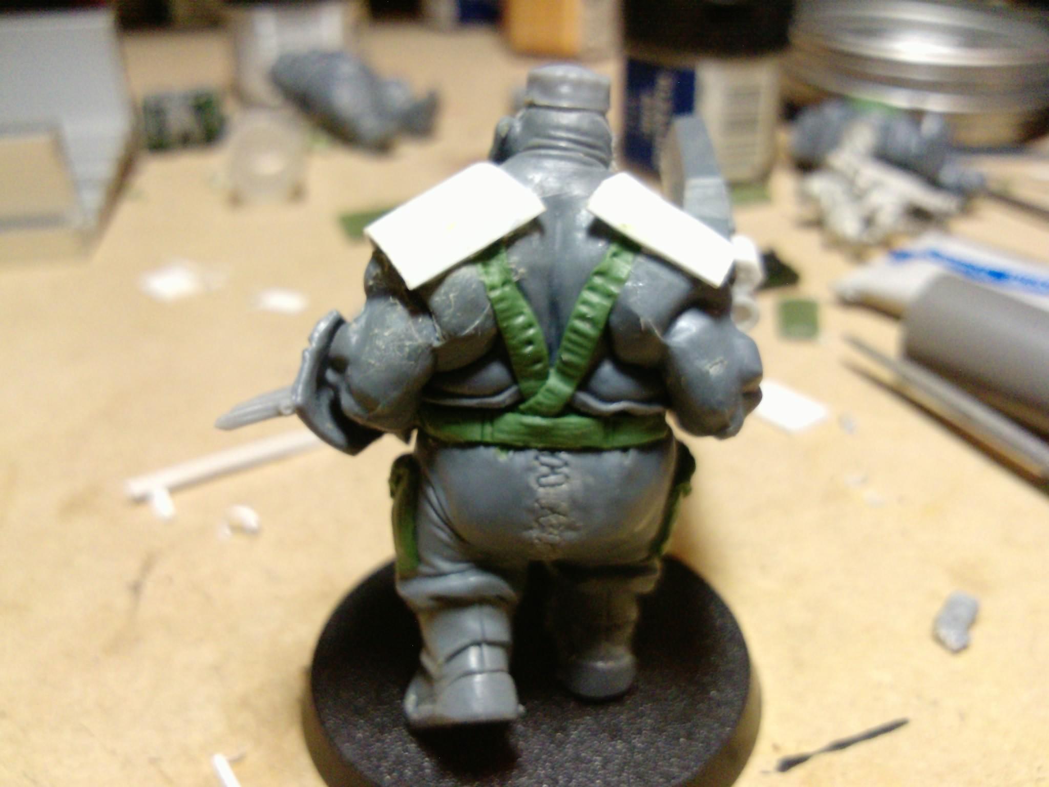 Green Beret, Ogres, Ogryns