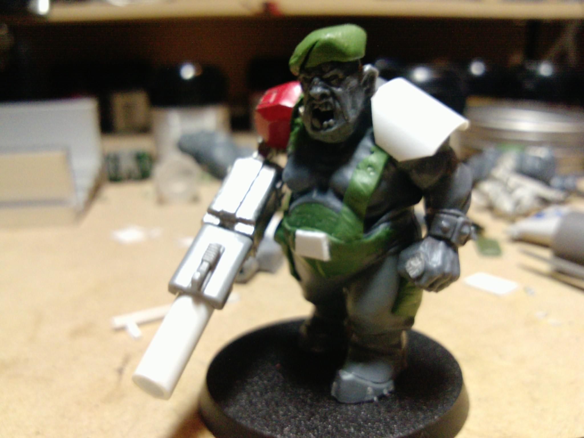 Green Beret, Ogres, Ogryns