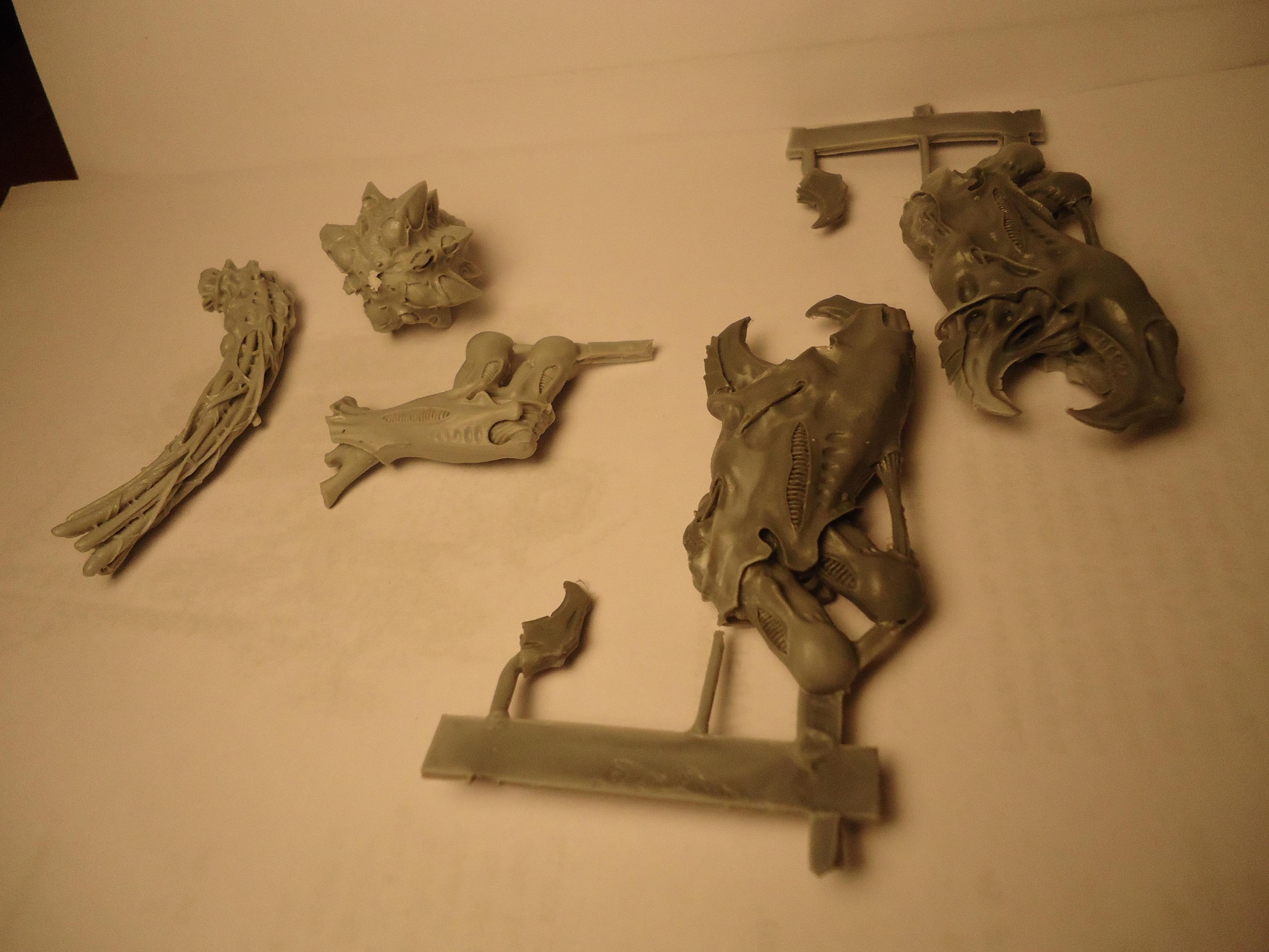 FWCarniwip