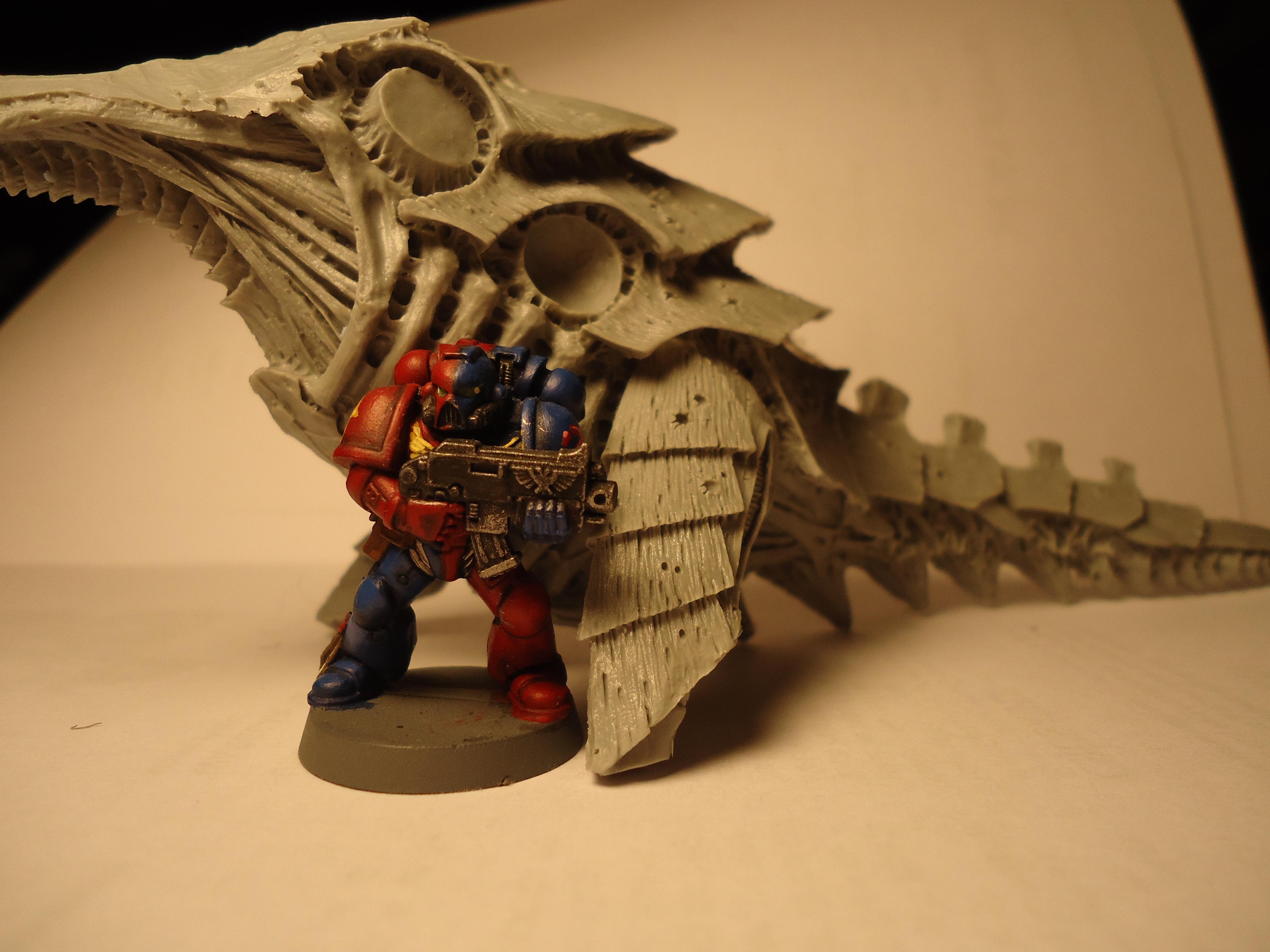 FWBarb4wip