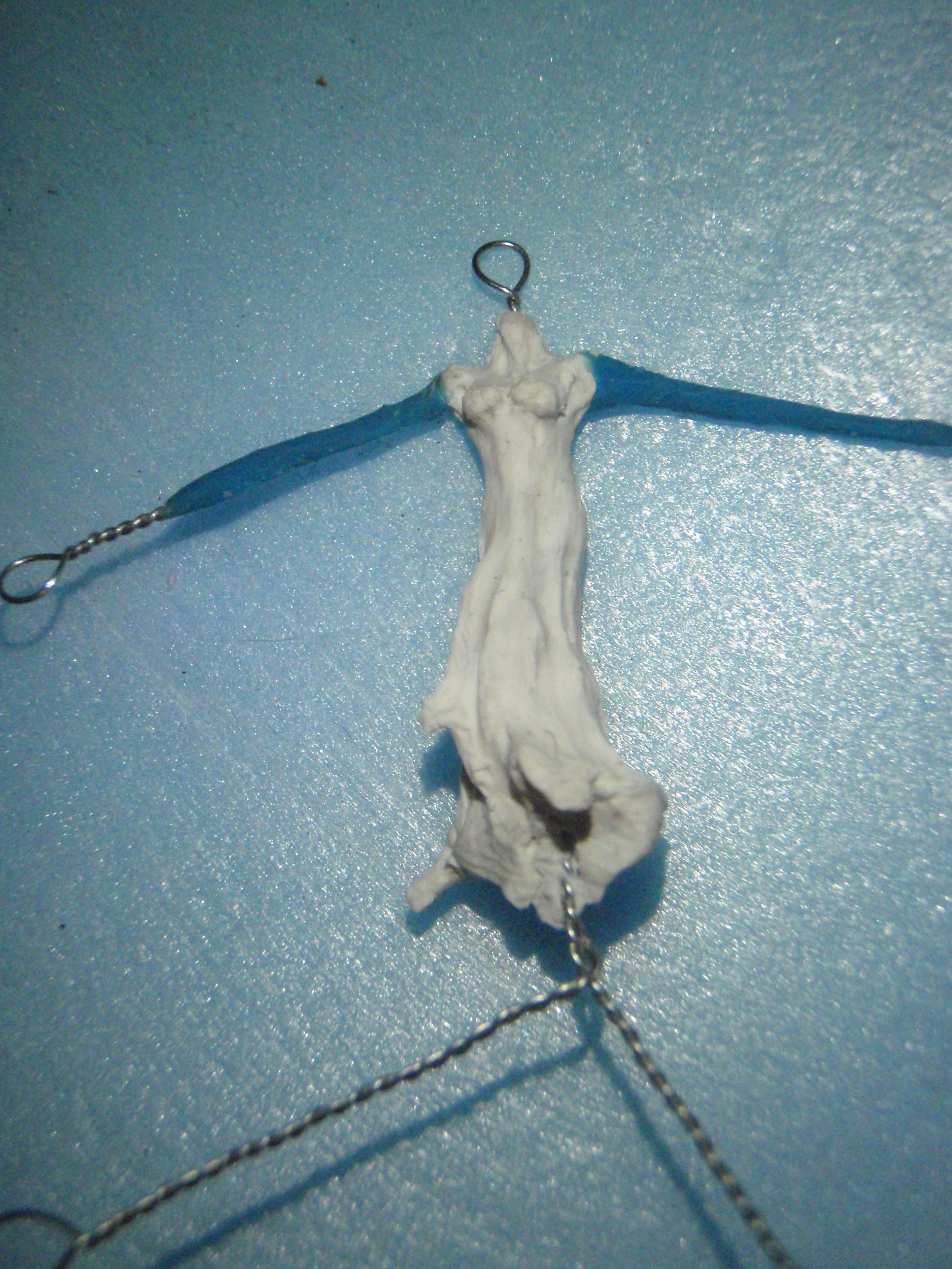 Female Sculping