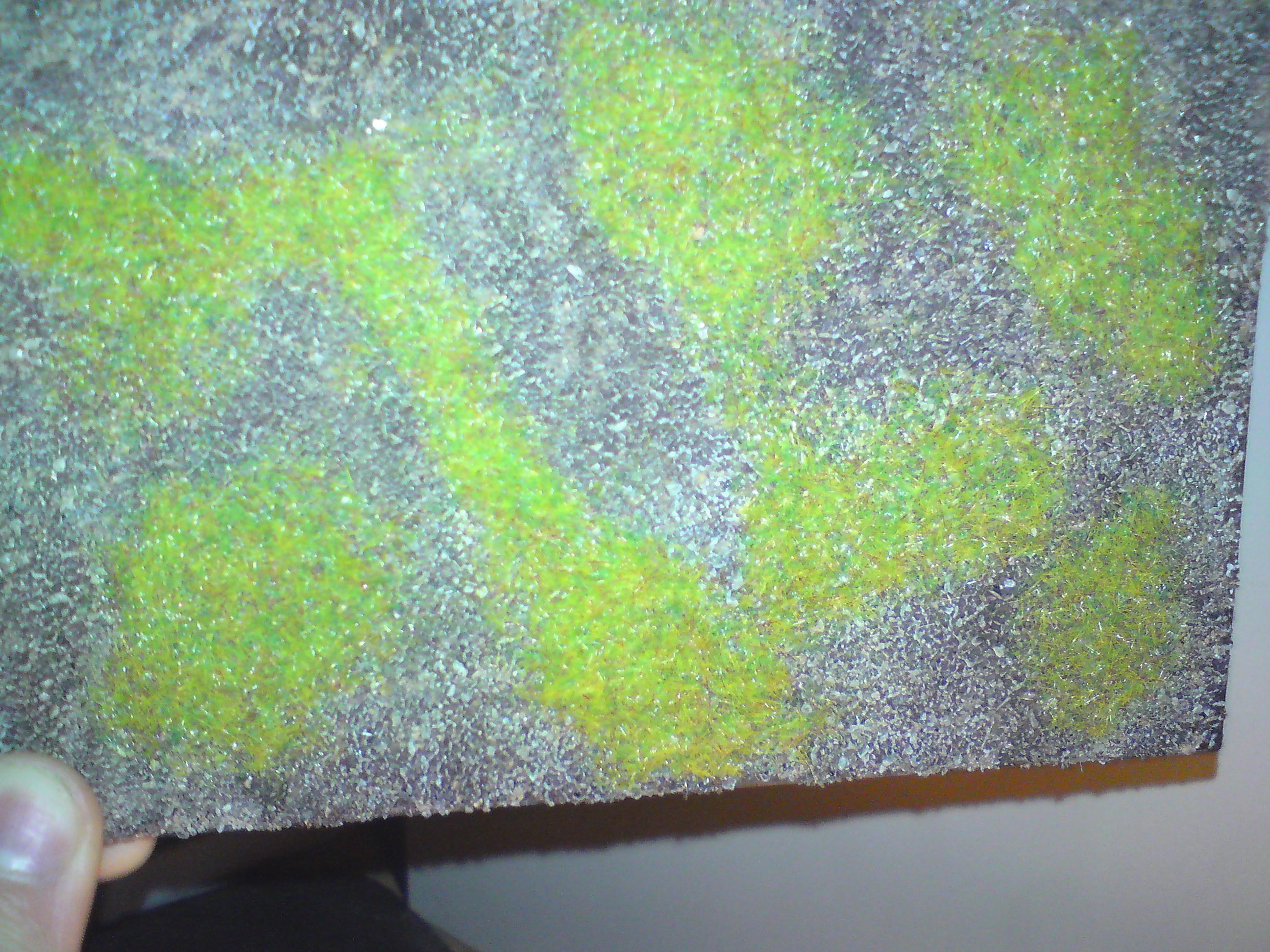 Heres another pic :)