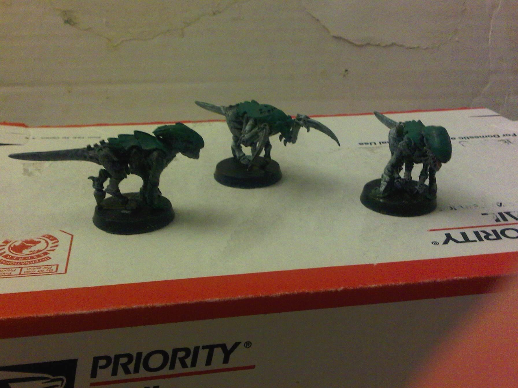 Kroot, Kroothounds, kroothounds