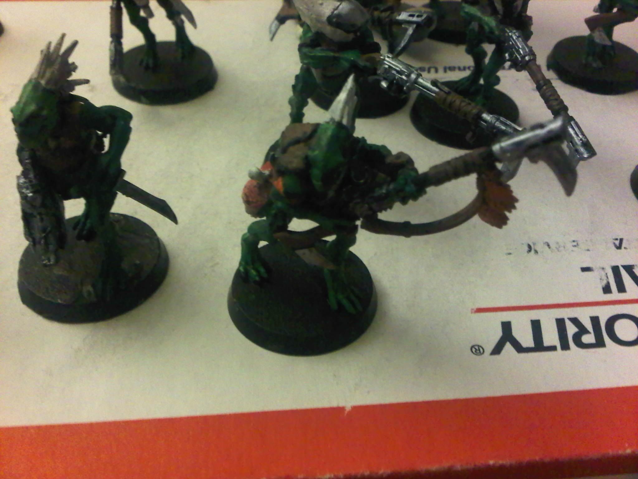 Kroot, kroot