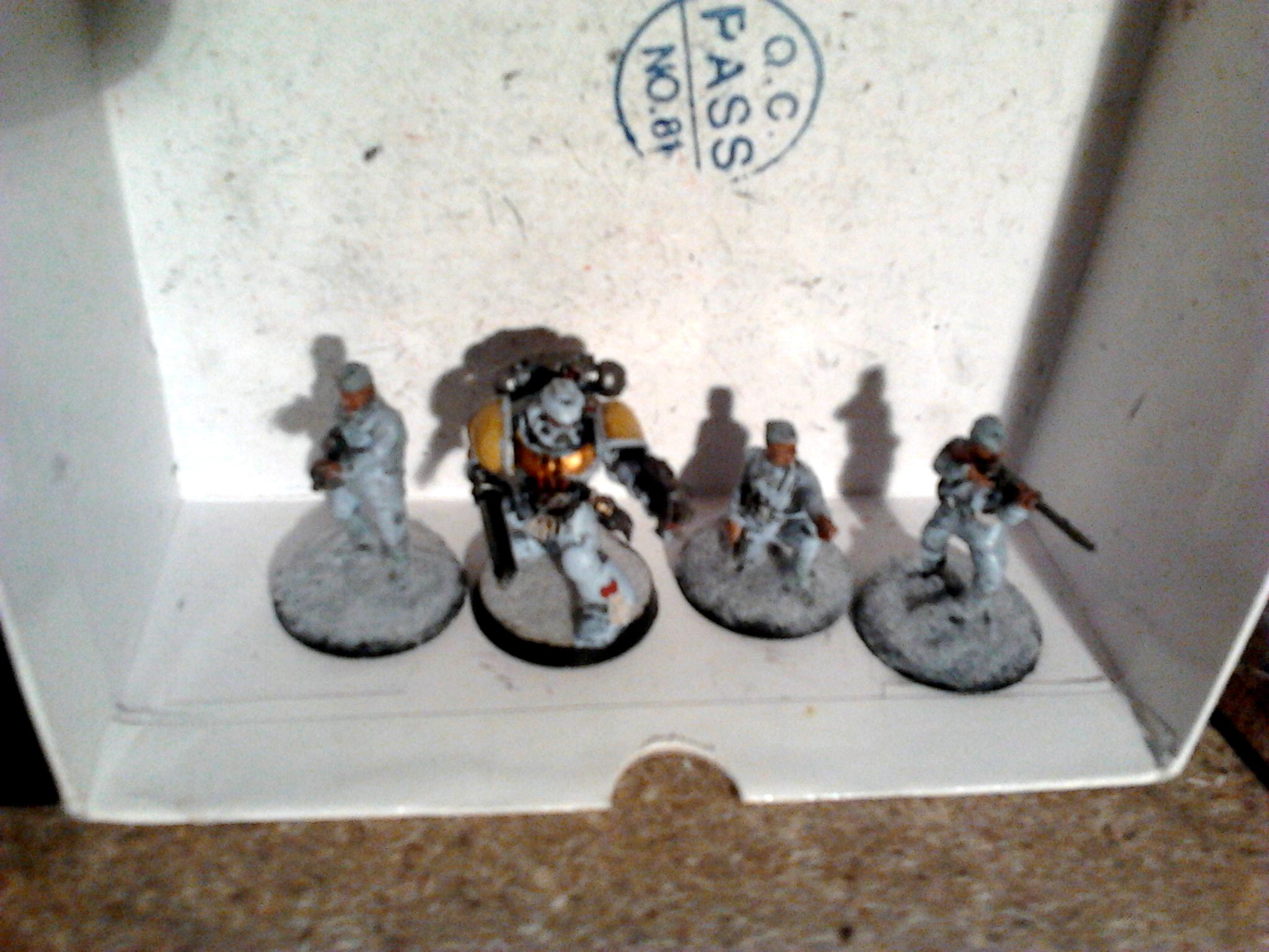 Imperial Guard, Proxy, Russians, Space Wolves, Wolf, Wolves