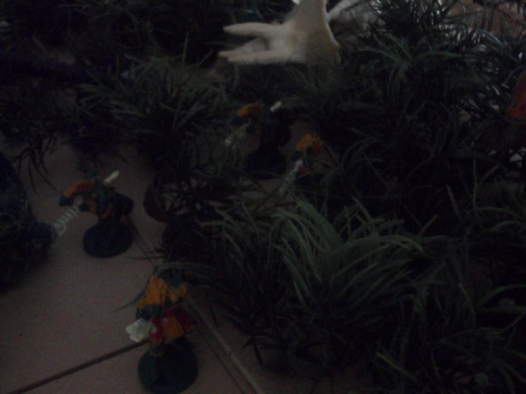 ambush