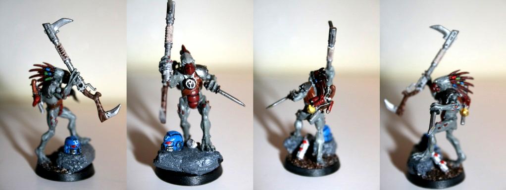 Kroot, Sept, Shas'o Mann, Tau