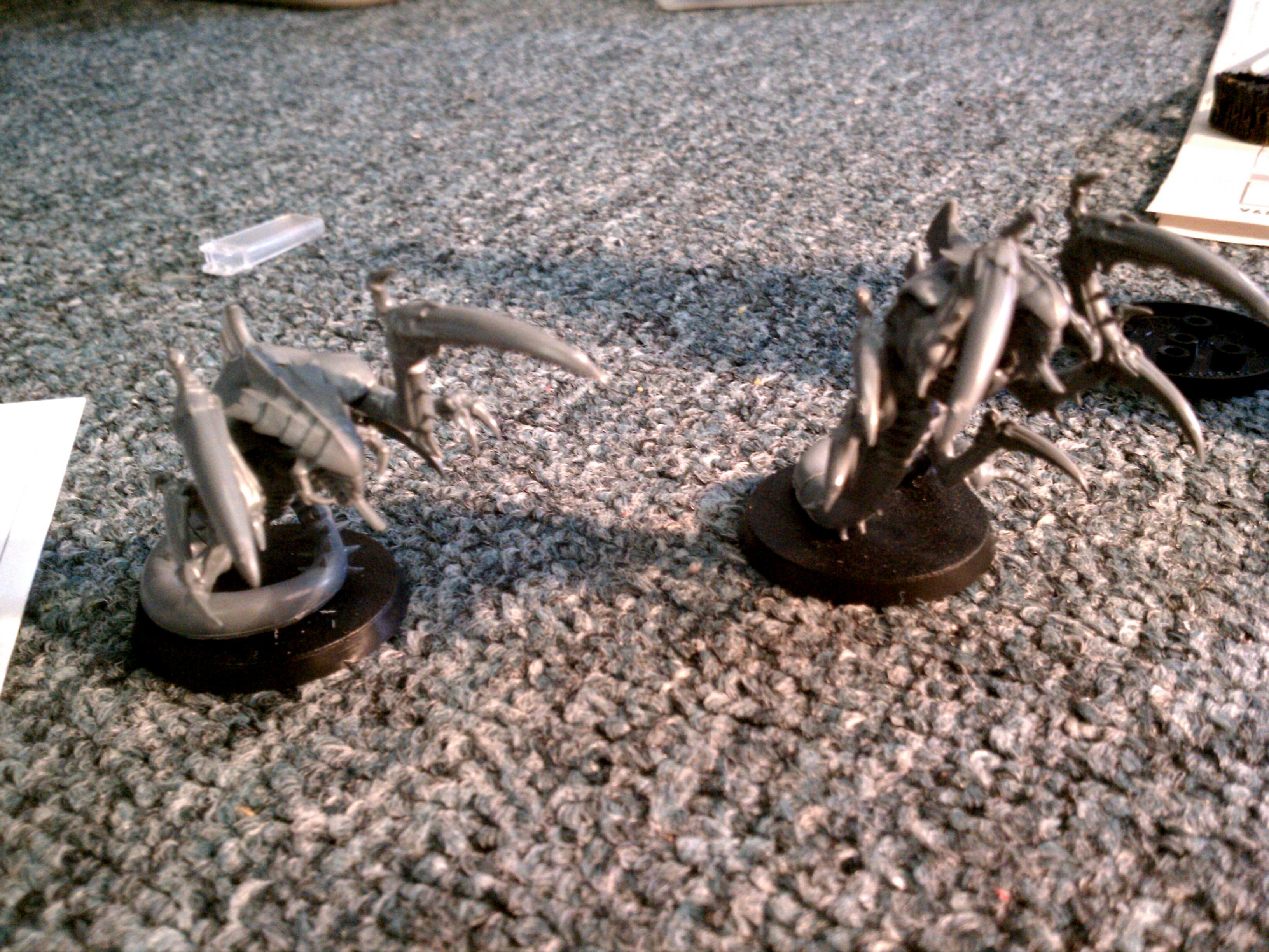 Ravener, Tutorial, Tyranids