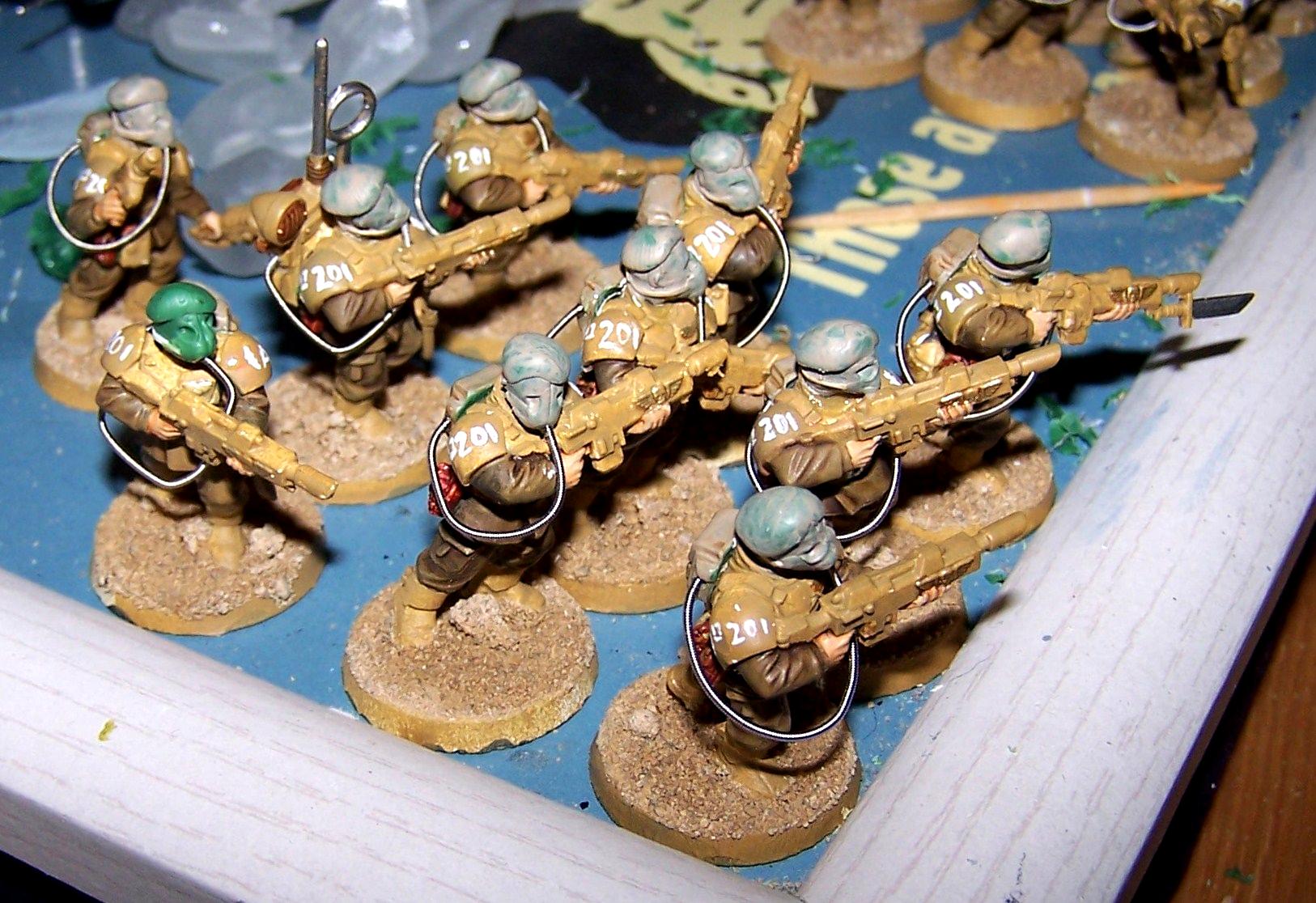 Arborian, Conversion, Imperial Guard, Silver, Work In Progress
