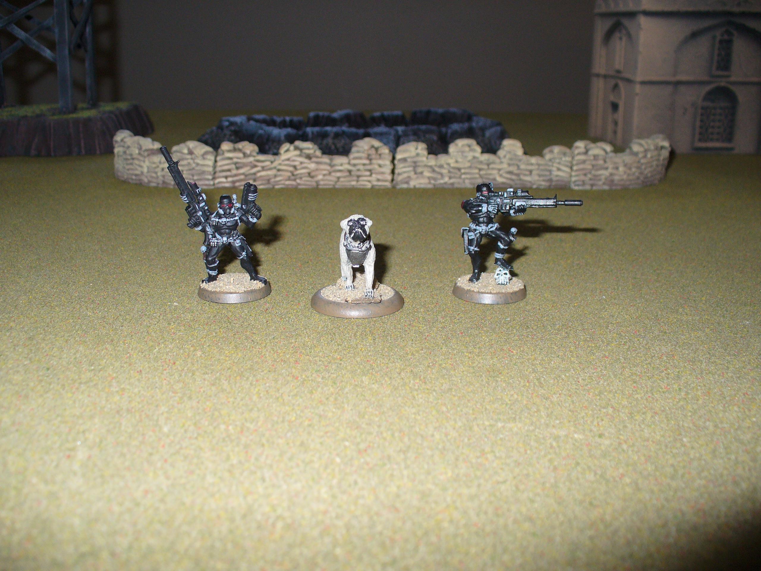 Assassins and Bodyguard