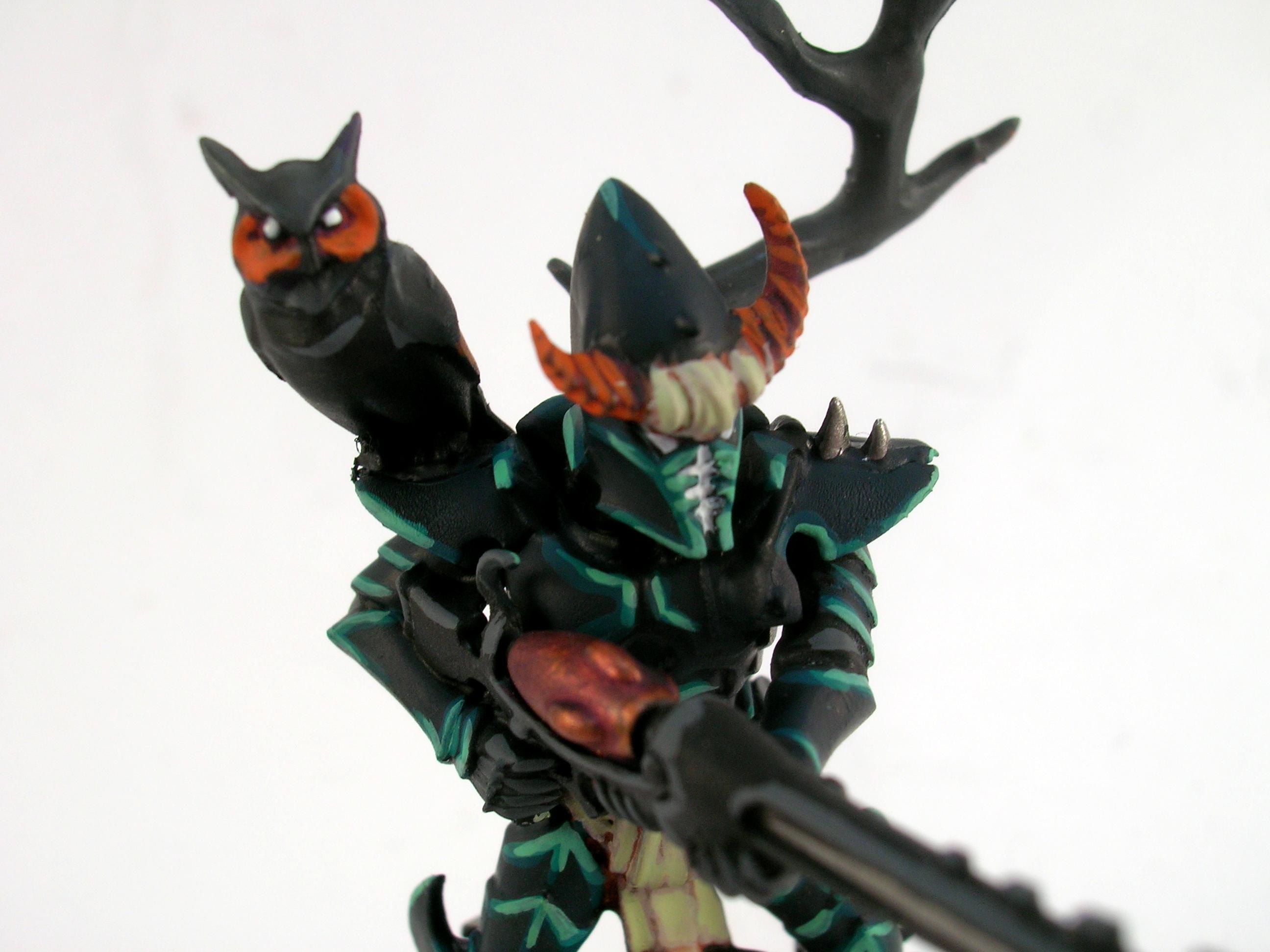 Corpse Forest, Dark Eldar, Kabalite Warriors, Owl