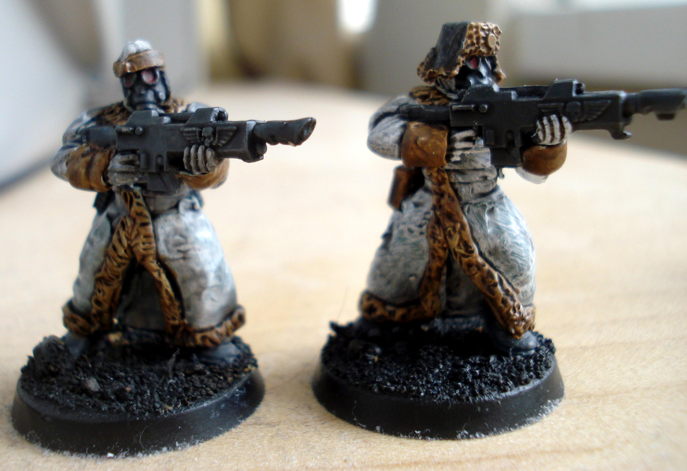 Conversion, Imperial Guard, Valhallans