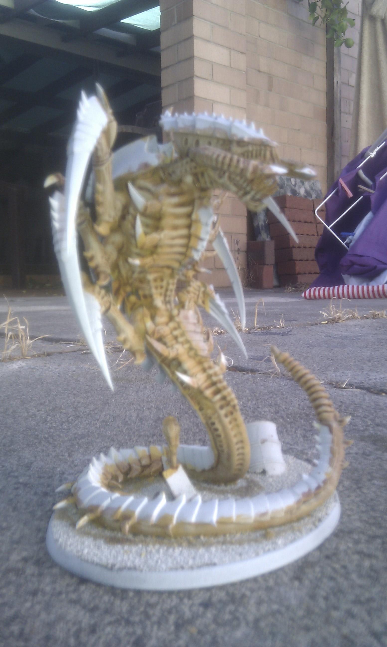 pic 2 trygon
