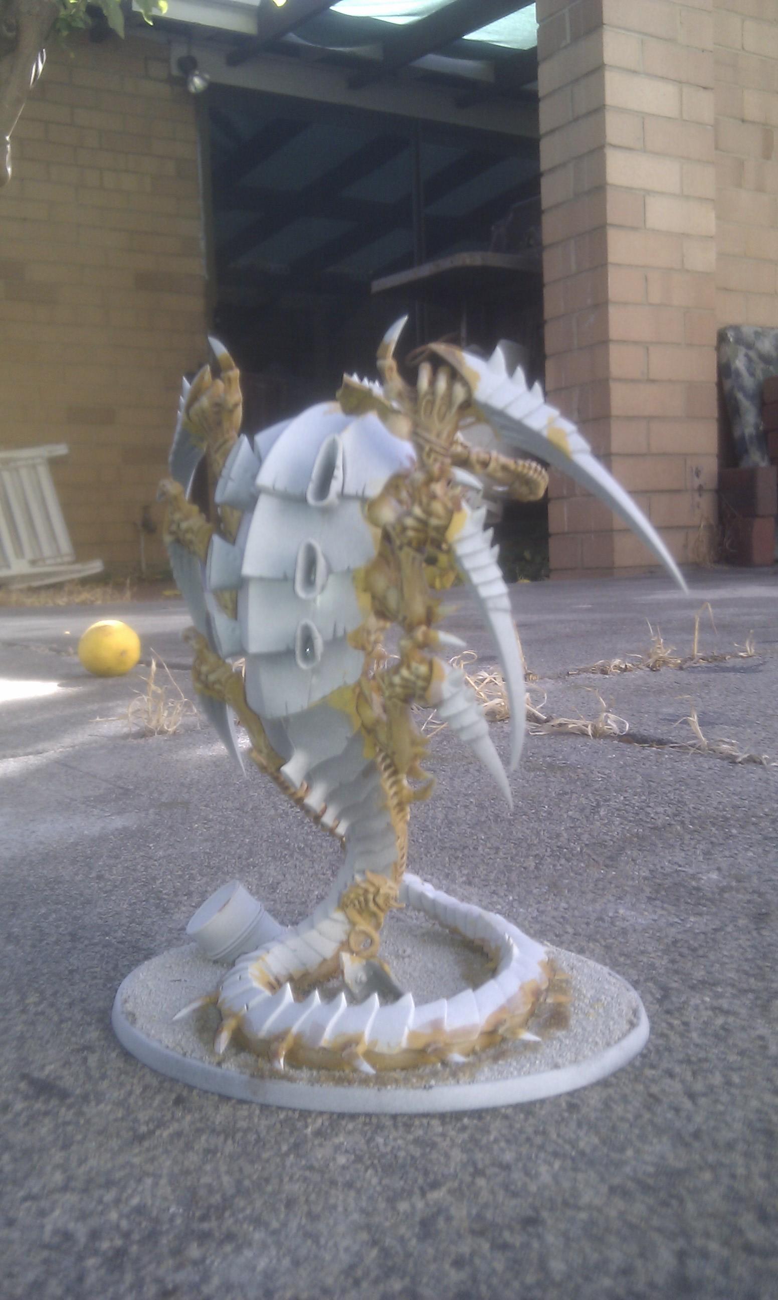 pic 3 trygon