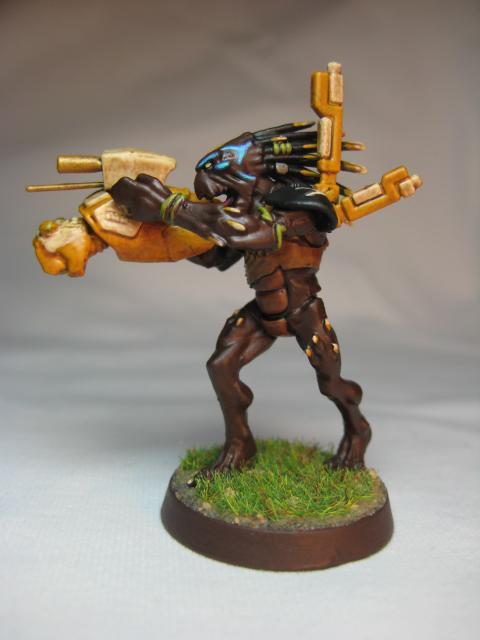 Conversion, Kroot, Tau