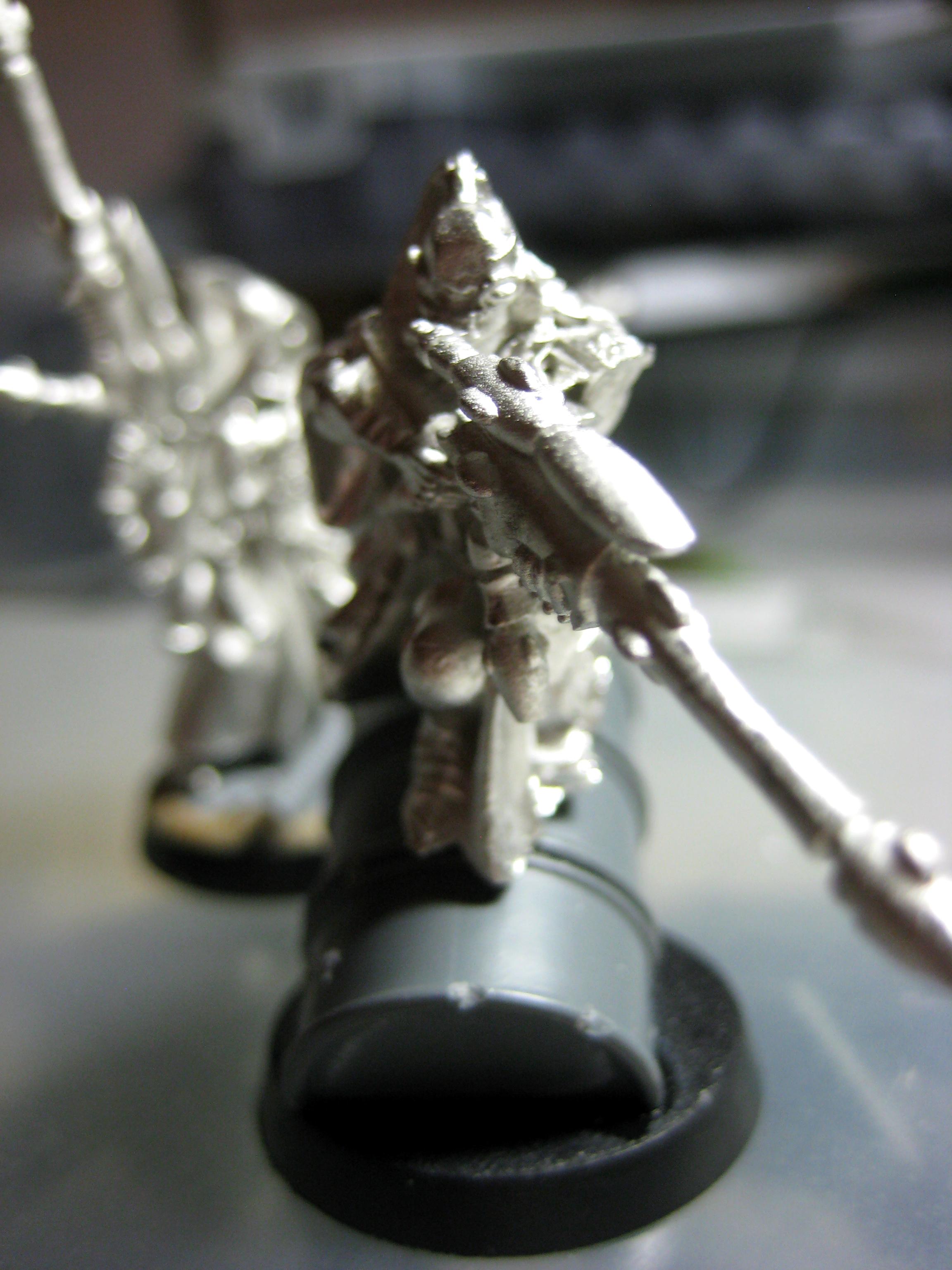 Conversion, Eldar, Work In Progress