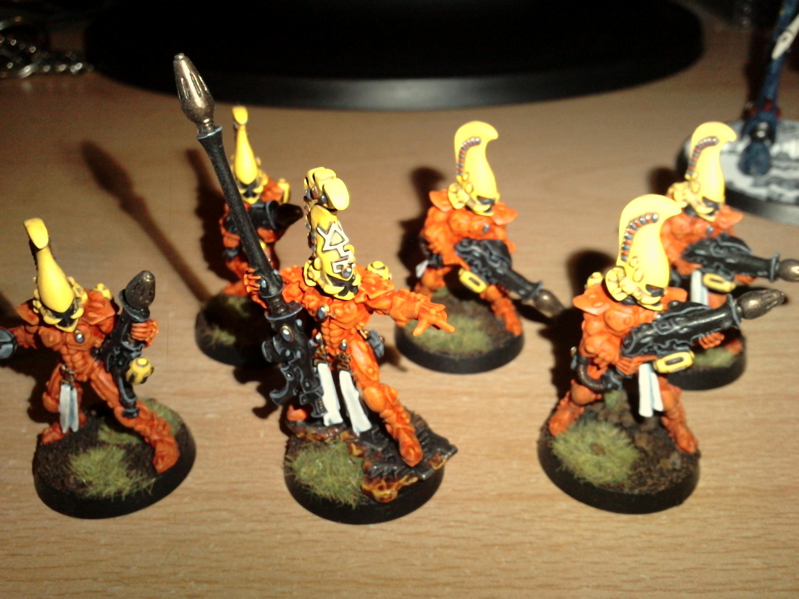 Alaitoc. Warhammer 40k, Eldar