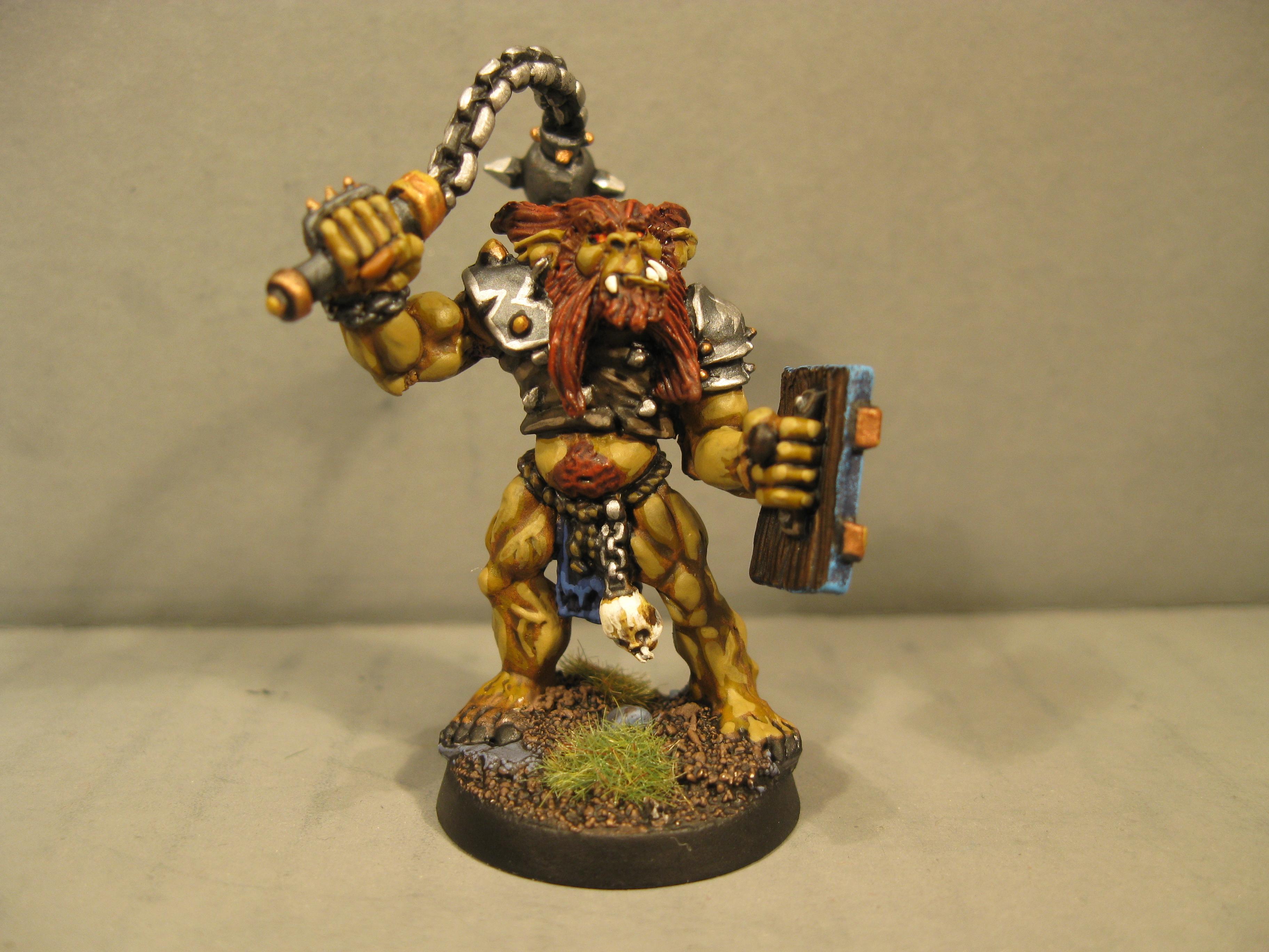 Pathfinders, Pro Painted, Reaper, Reaper Miniatures, Reaper Minis, Rpg, Warhammer Fantasy